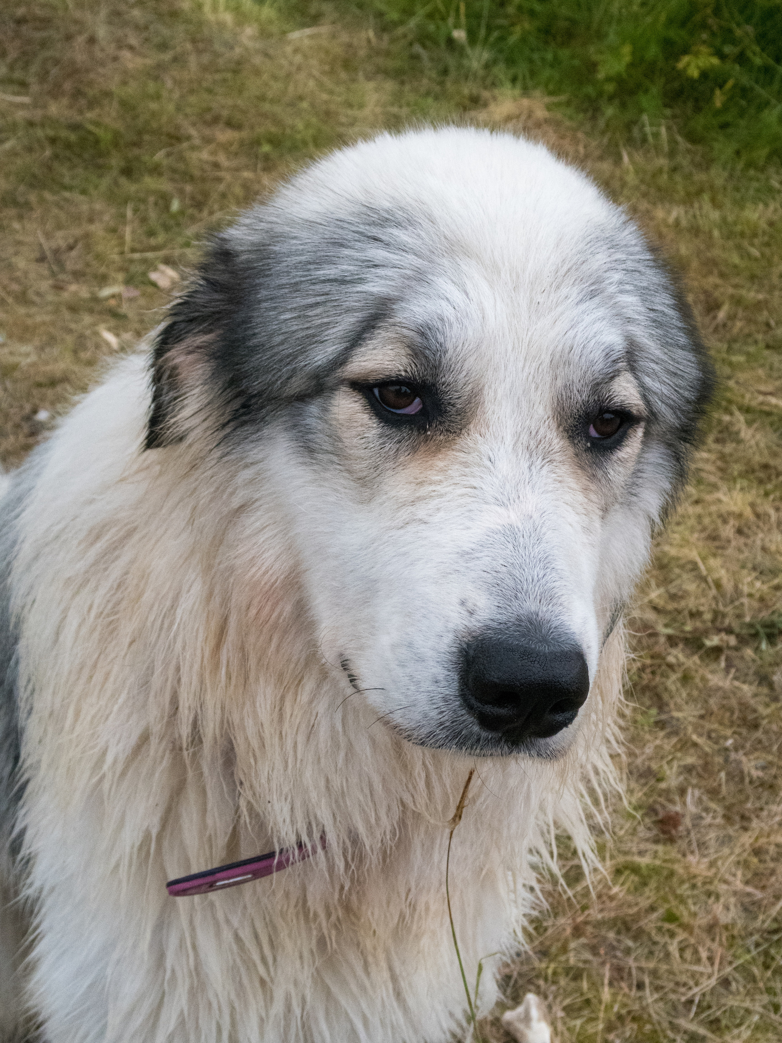 Кольский. Фото из походов и путешествий клуба скандинавской ходьбы Пойдем Ходить