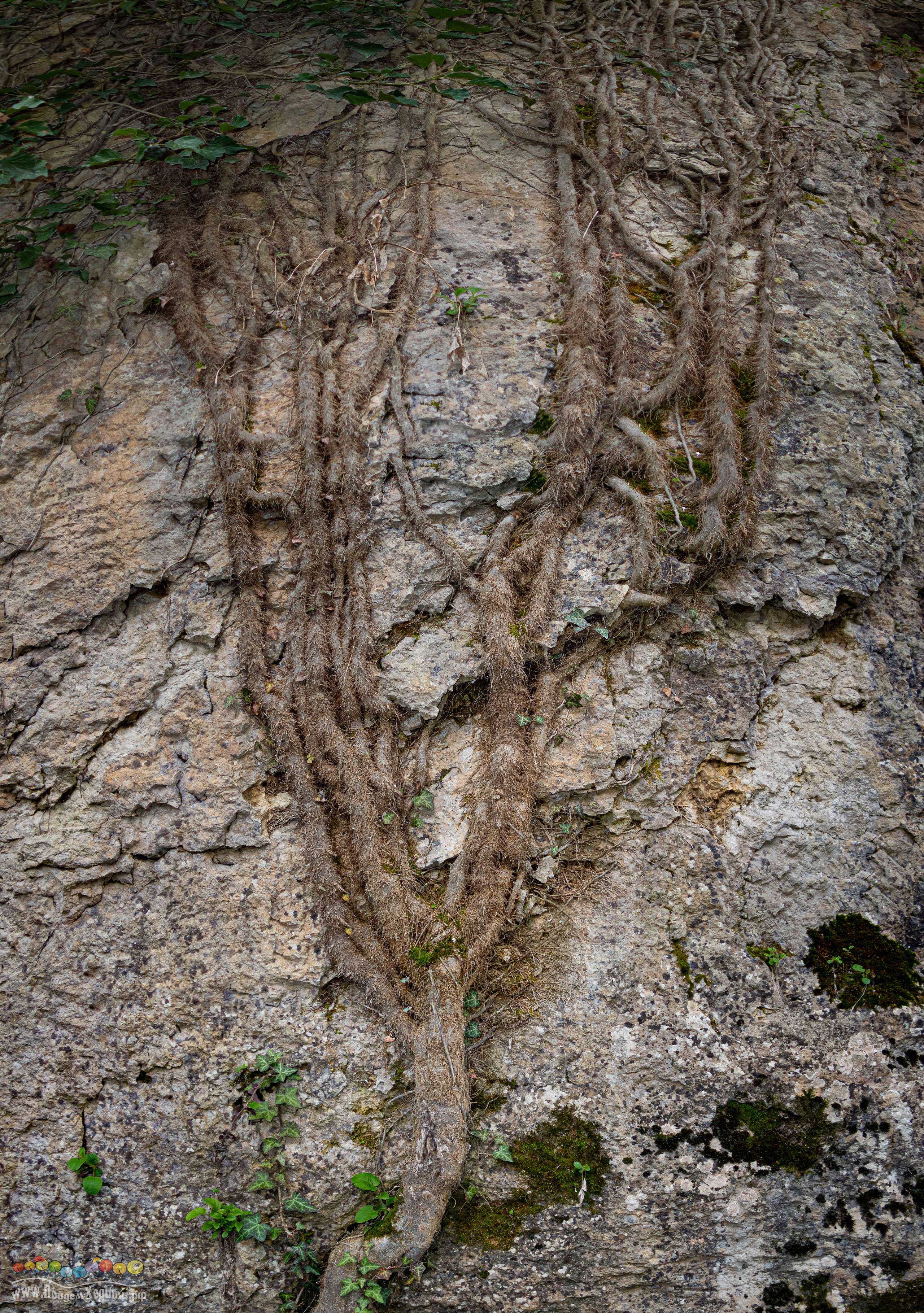 Адыгея — страна водопадов. Фото из походов и путешествий клуба скандинавской ходьбы Пойдем Ходить