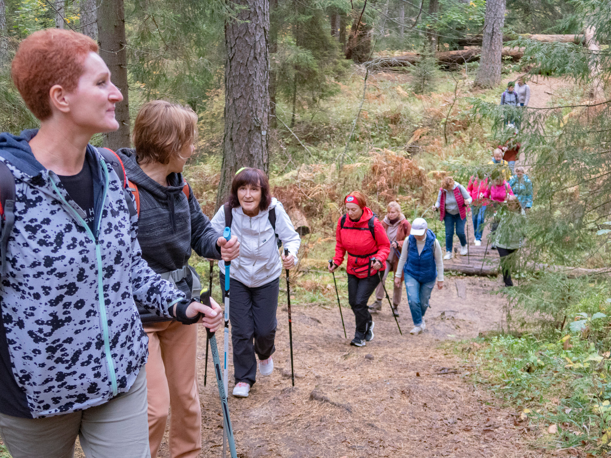 Линдуловская Роща. Фото из походов и путешествий клуба скандинавской ходьбы Пойдем Ходить
