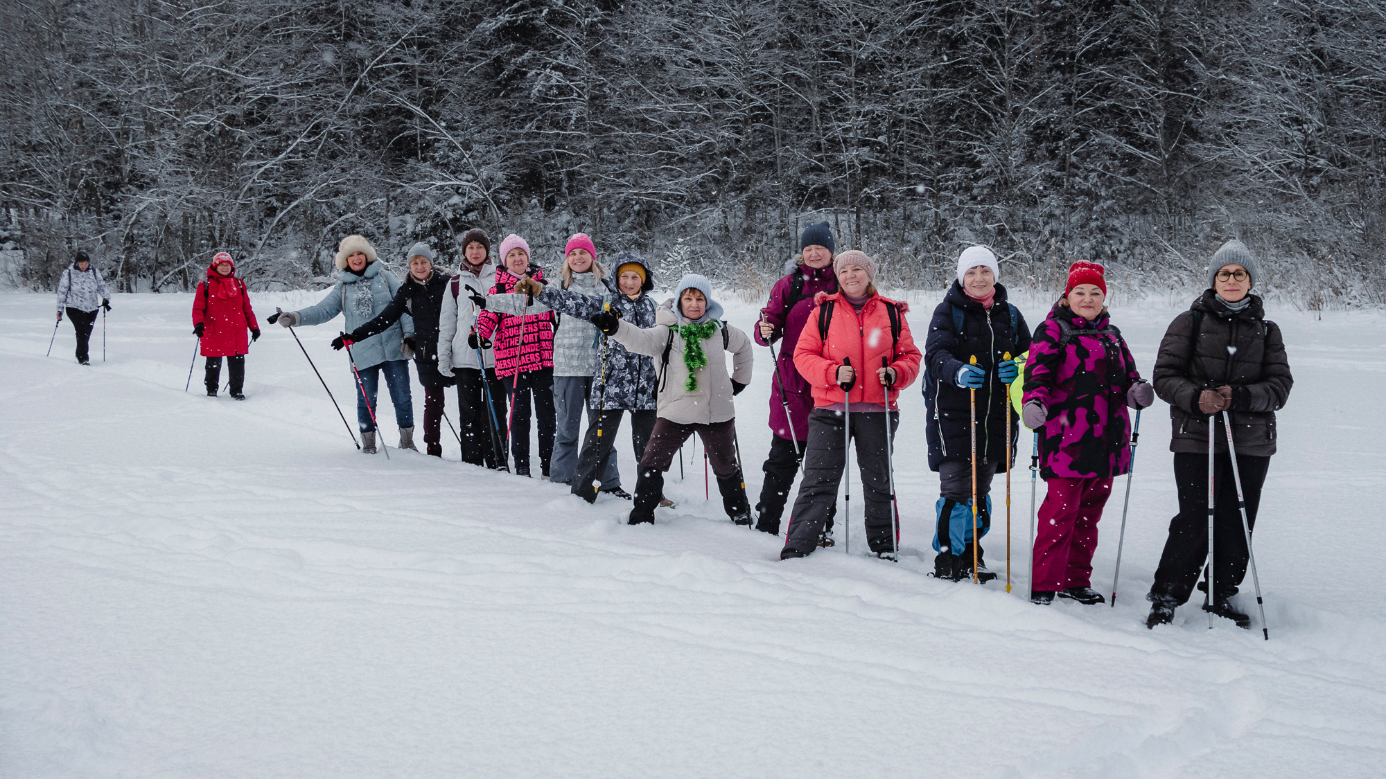 В Токсово к зубрам. Фото из походов и путешествий клуба скандинавской ходьбы Пойдем Ходить