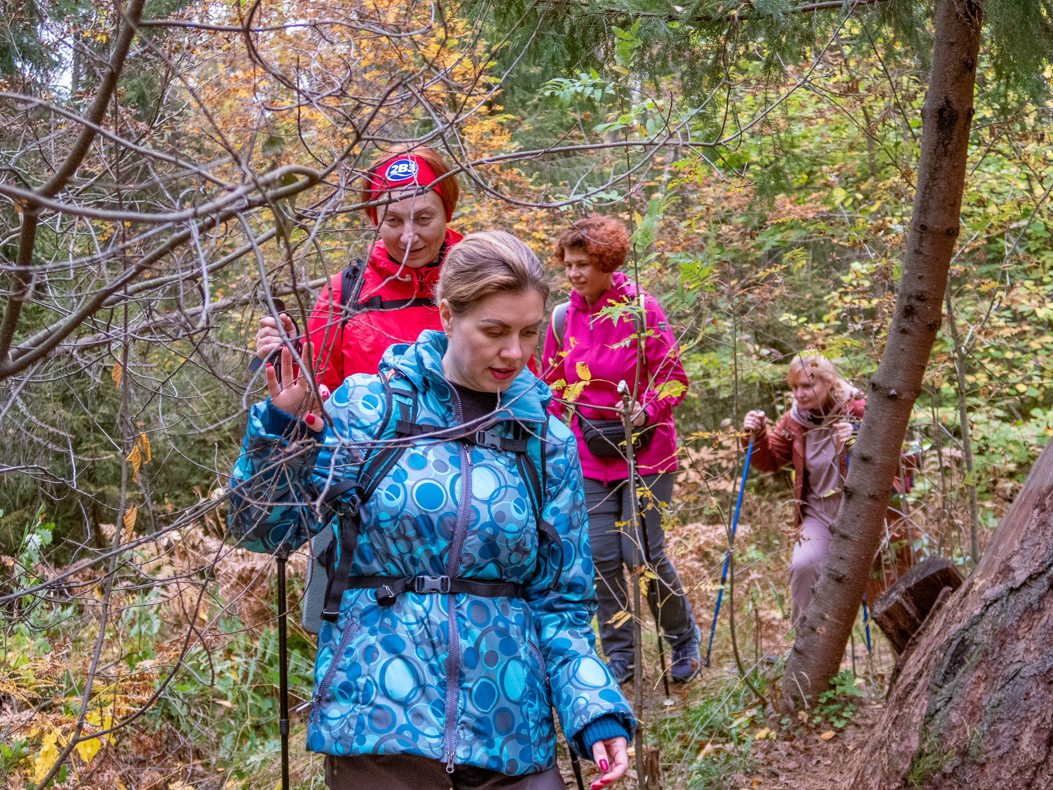 Линдуловская Роща. Фото из походов и путешествий клуба скандинавской ходьбы Пойдем Ходить