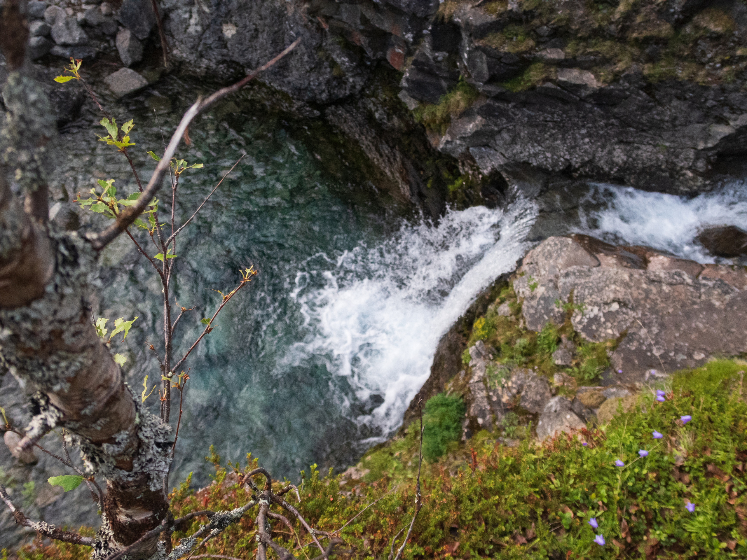 Кольский. Фото из походов и путешествий клуба скандинавской ходьбы Пойдем Ходить