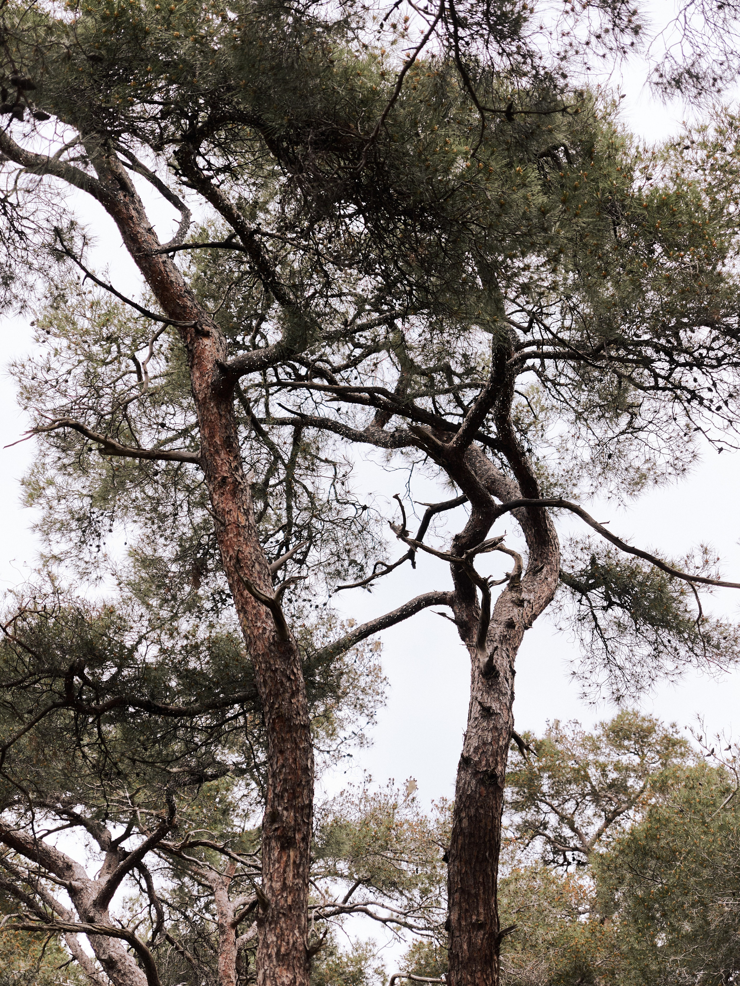 Природа. Jorgis Talè — photographer, kind person, teacher of arts and other mag