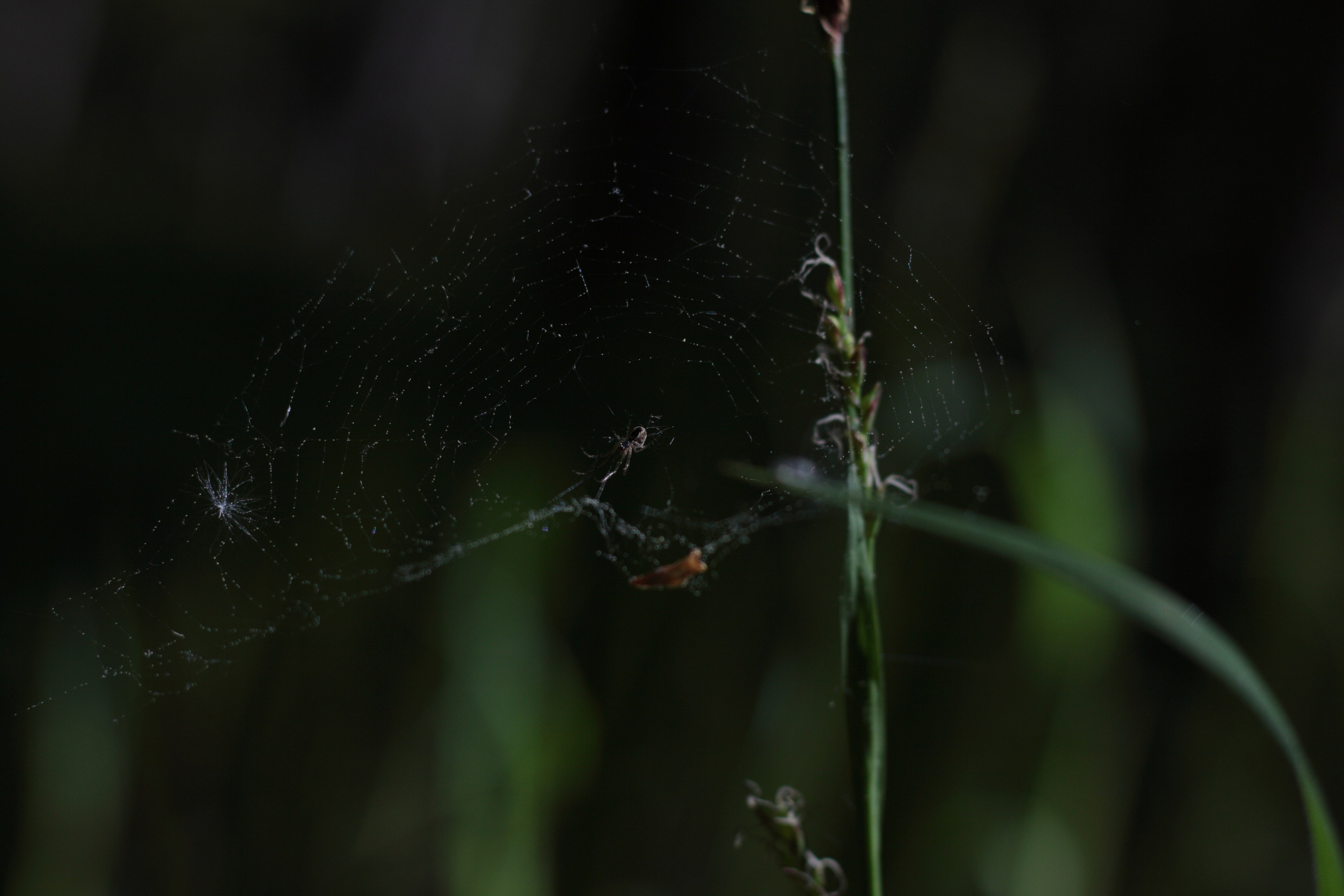 Старое природное, отбирала Katamount (Катерина Горохова). Главная