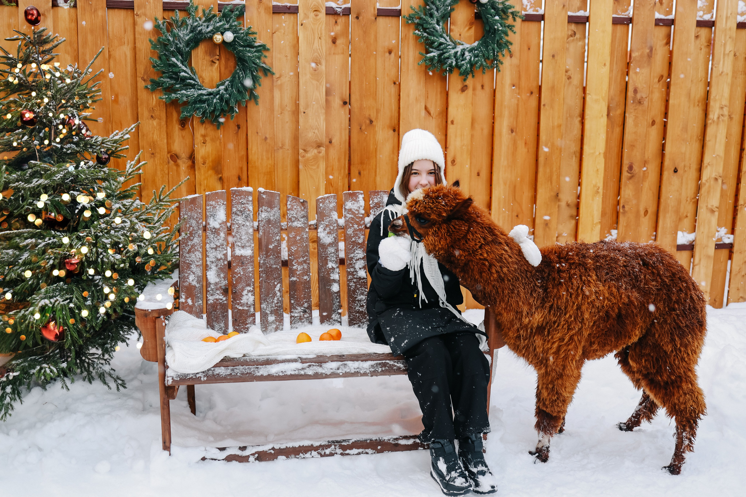 Семейная фотосессия с Альпакой. Иванова Ирина Свадебный и семейный фотограф г. Уфа