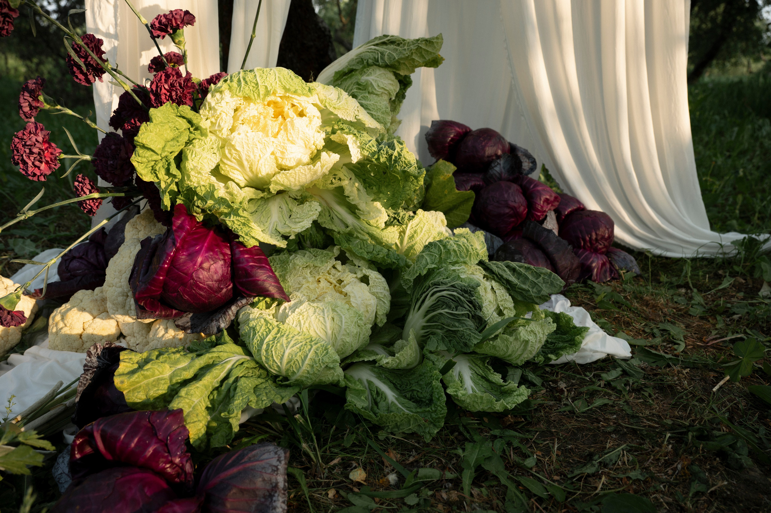 Ты выбираешь чудеса. Фотограф Евгения Мирошниченко