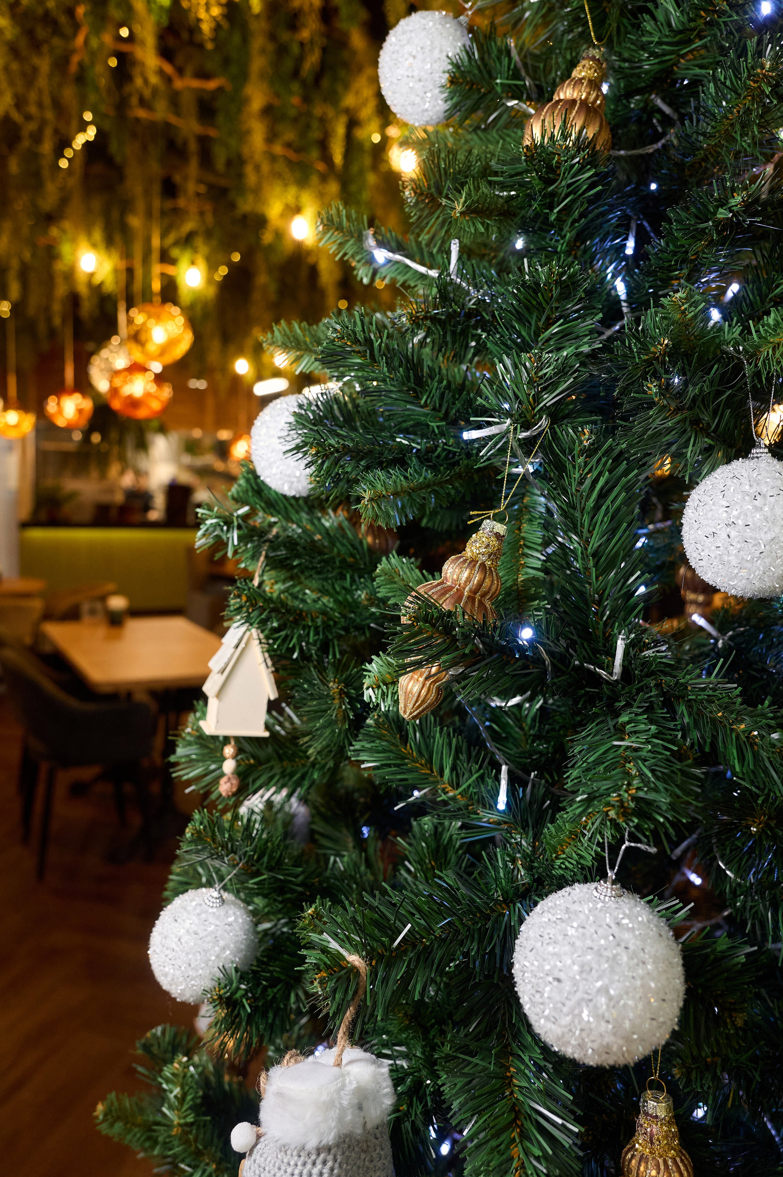 Перчини. Фотограф Опыт Качество Скорость Горный Алтай Барнаул