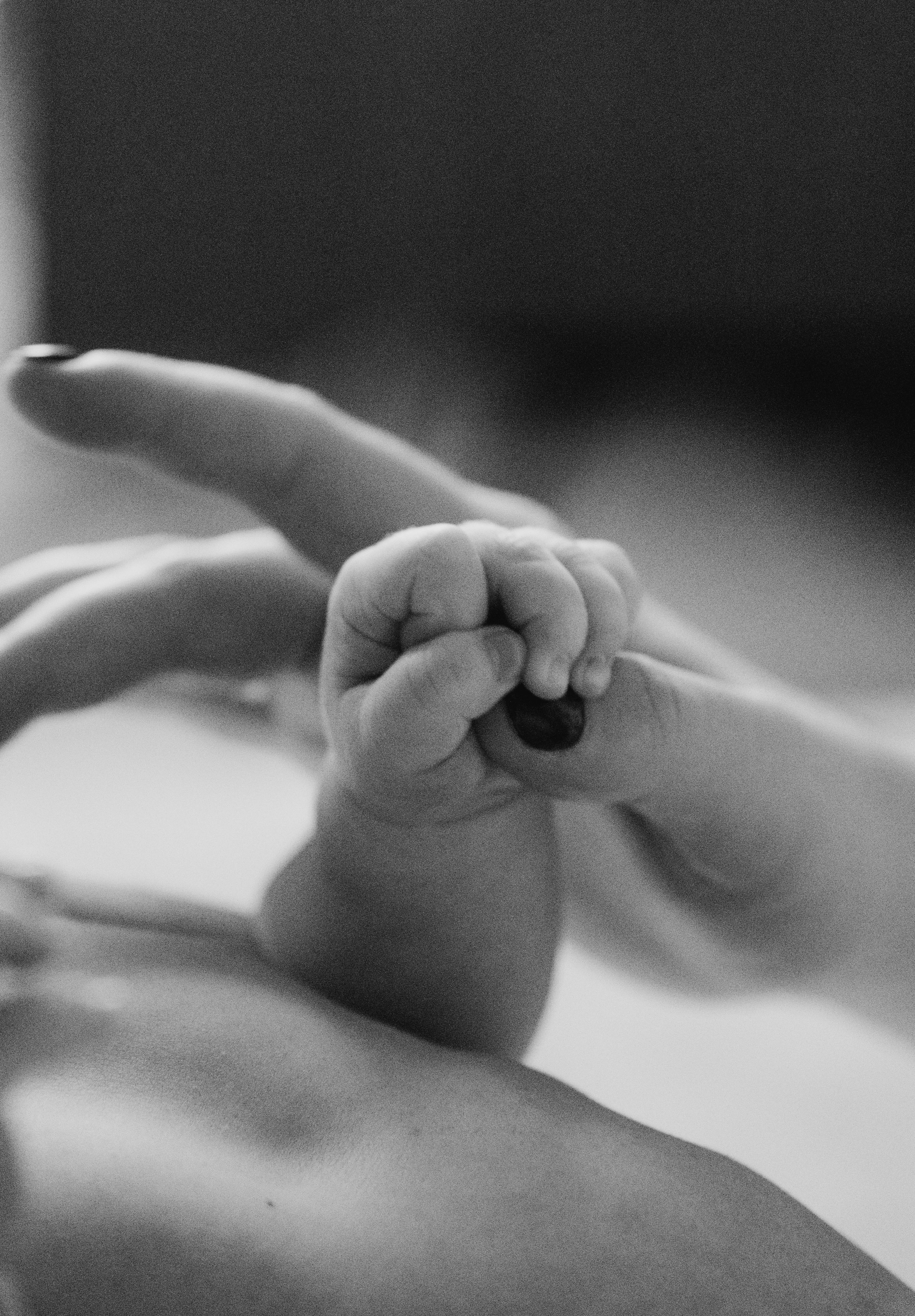 Семейная домашняя фотосессия. Профессиональный фотограф беременности в СПБ. Стильные фотосессии беременности в стиле минимализм и классическая фотография