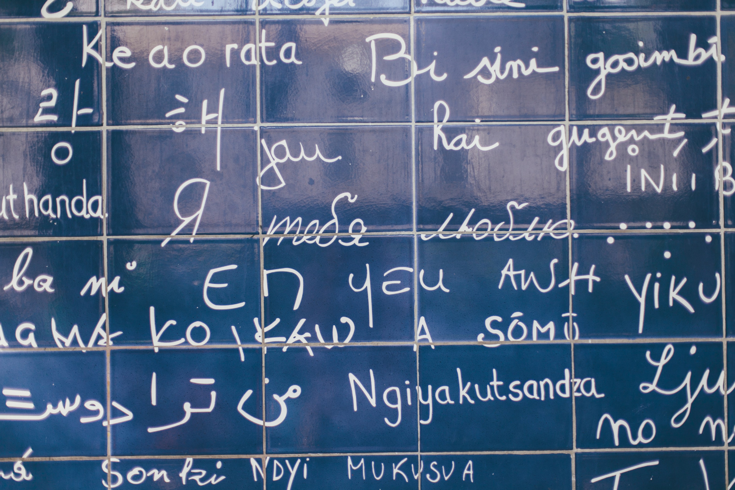 Париж. Аня Степанова