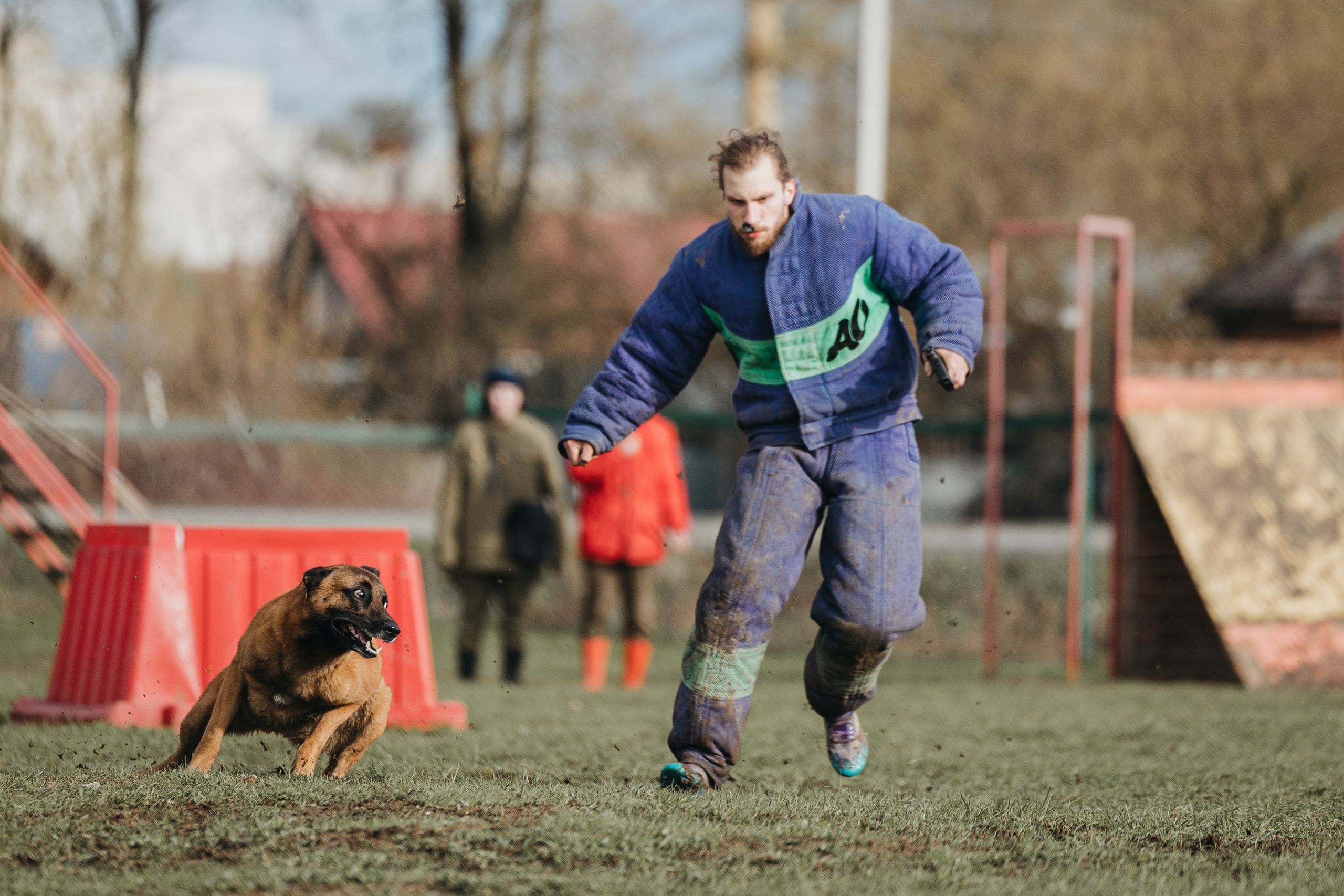09.05.25 Вологда соревнования. Фотограф-анималист Анна Маринич