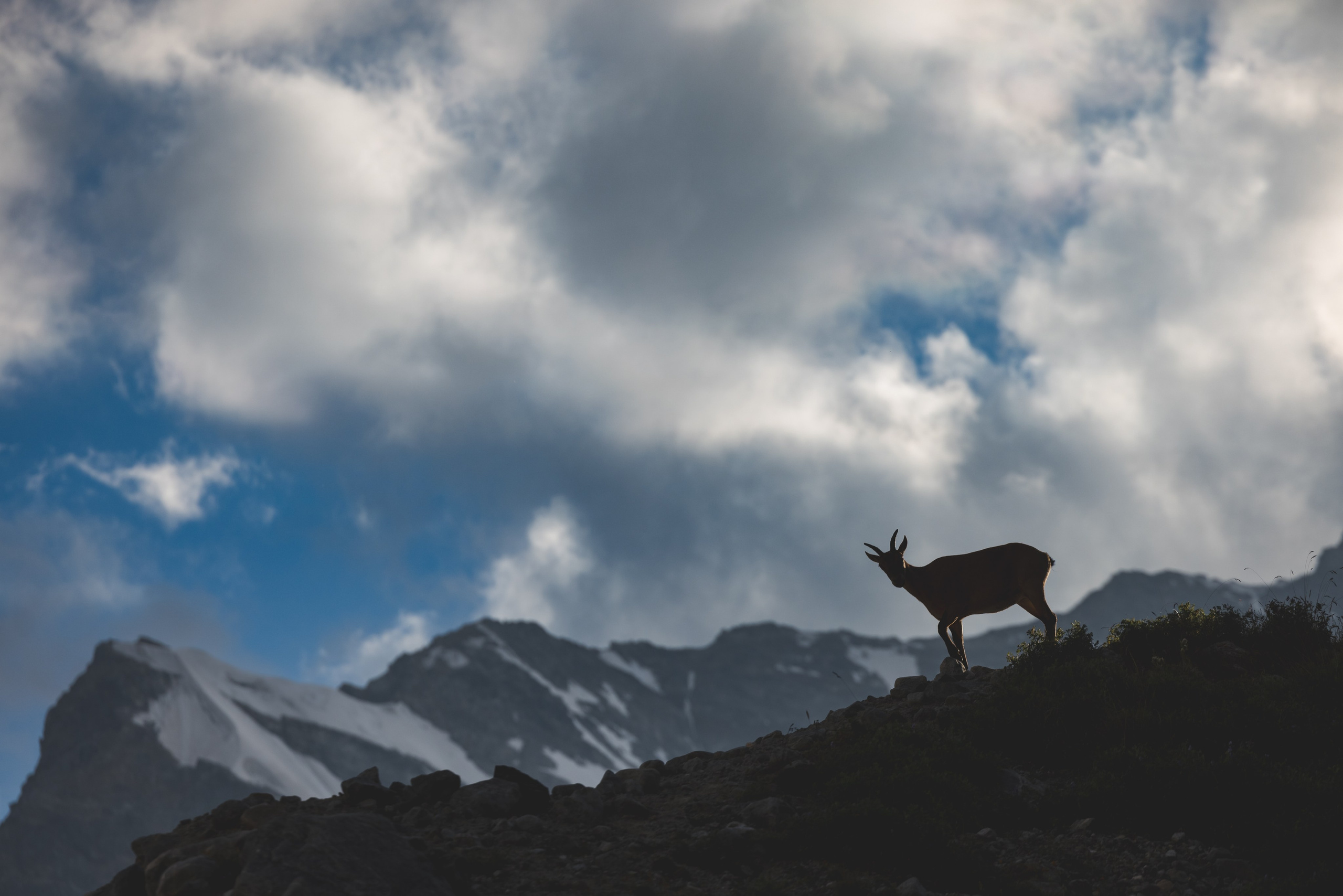 Природа. Репортажный фотограф. Из России с любовью