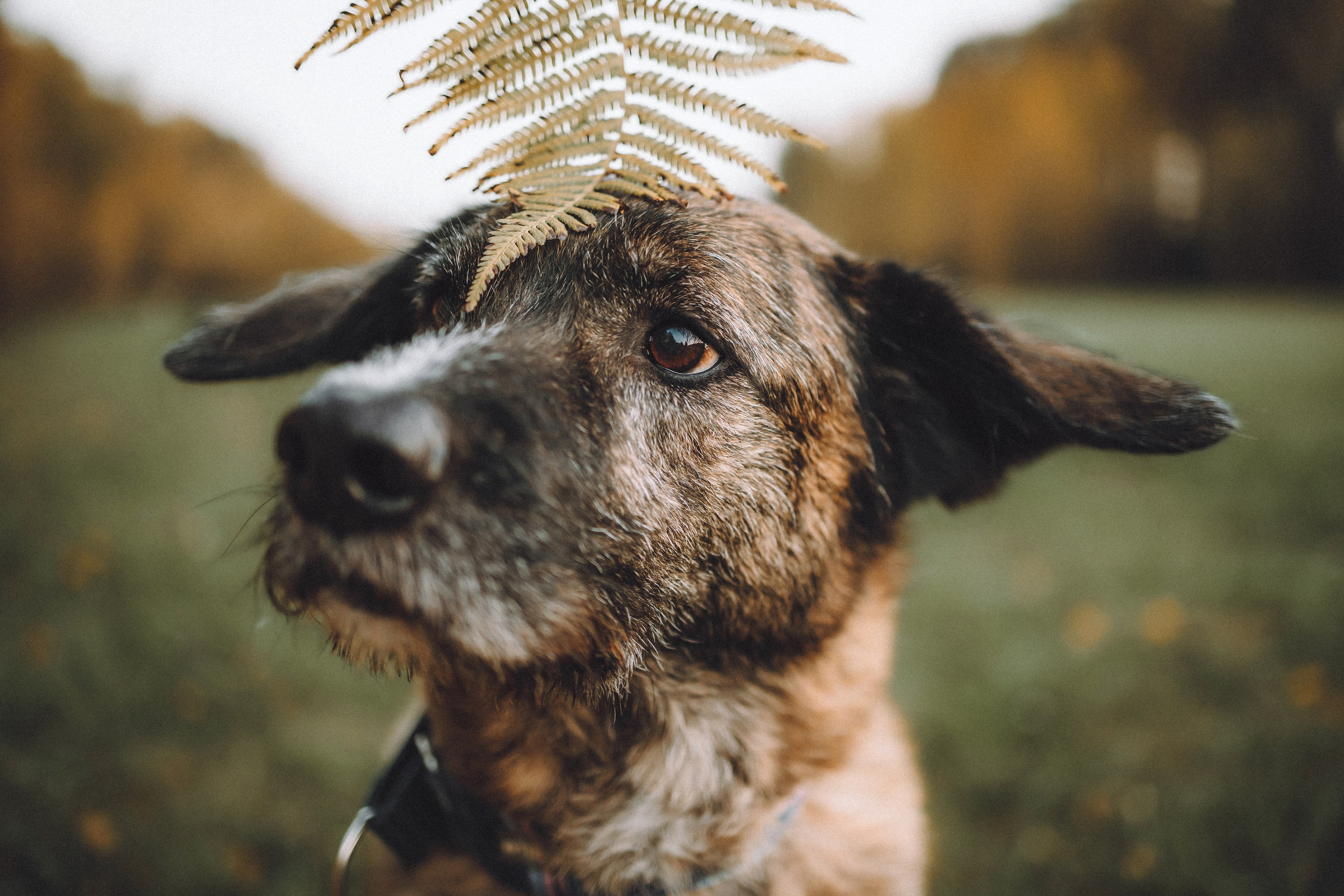 Рик, Джек и их семья