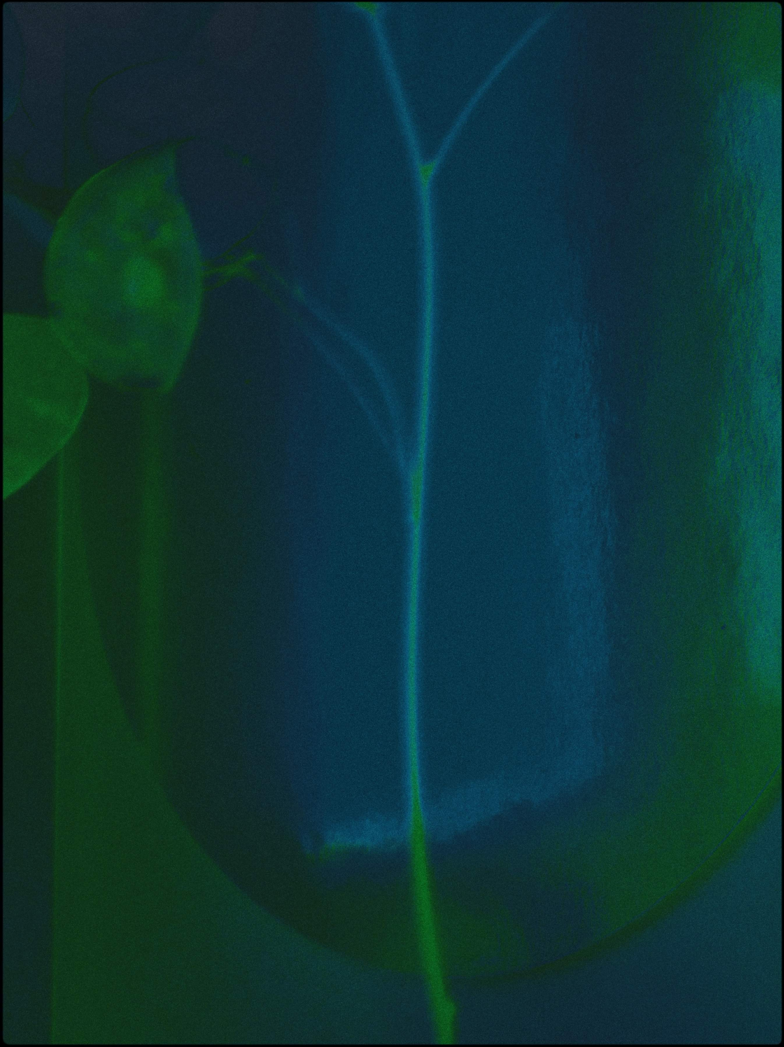 Malamoonki. Катерина Малама арт-фотограф