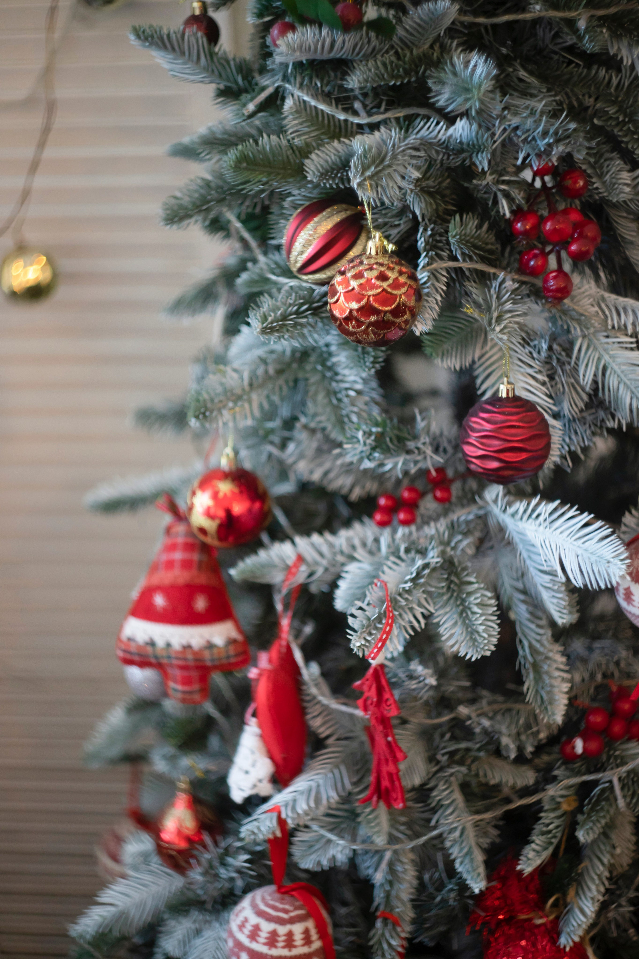 Семейная новогодняя фотосессия. Фотограф в Улан-Удэ. Свадебный фотограф в Улан-Удэ