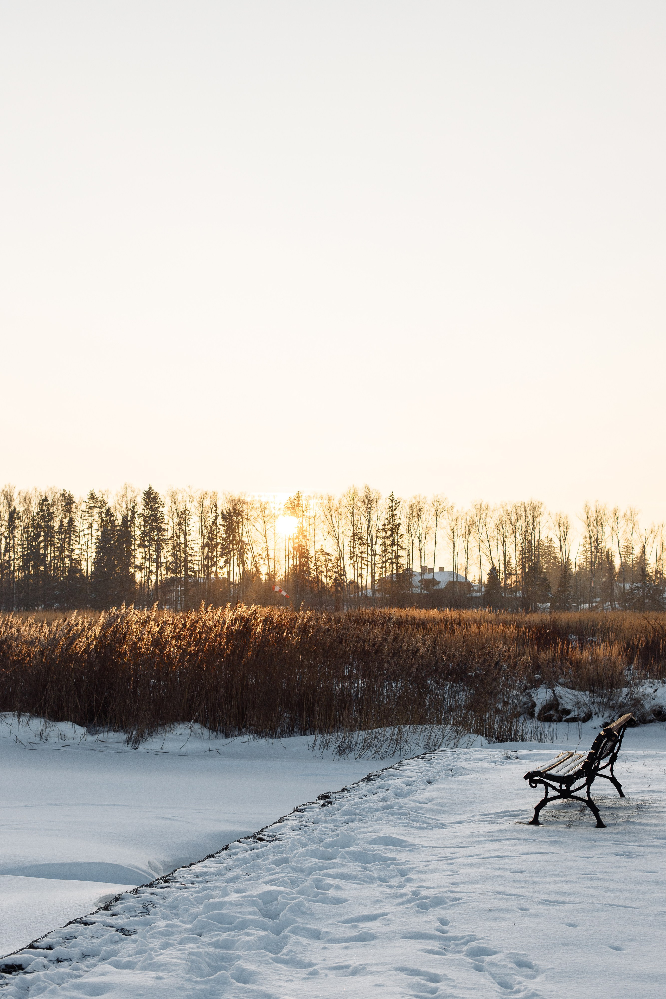 Зимние каникулы. Свадебный и портретный фотограф в Королёве Сергей Чихарев