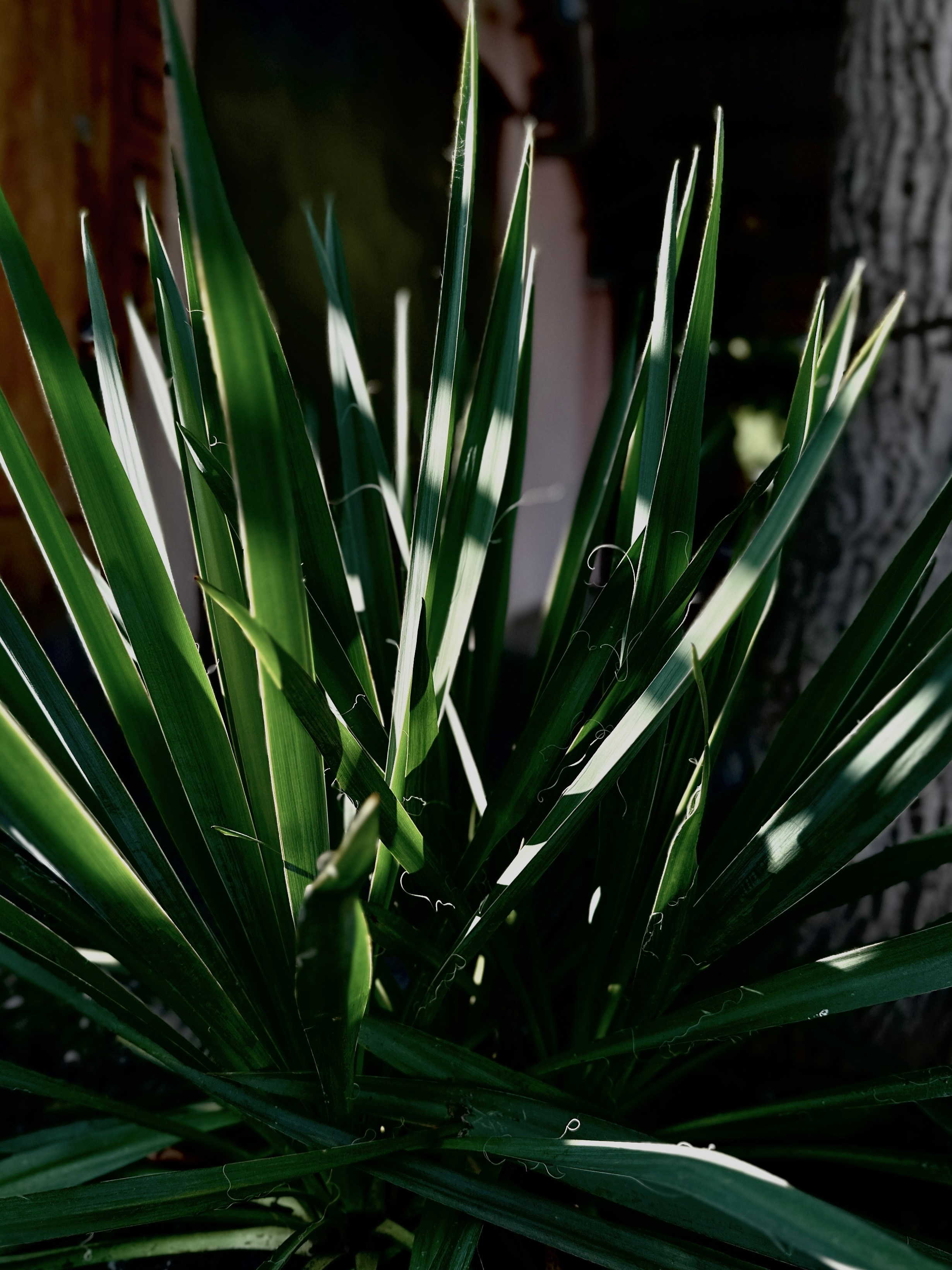 Макро любовь. Смотри, красота!