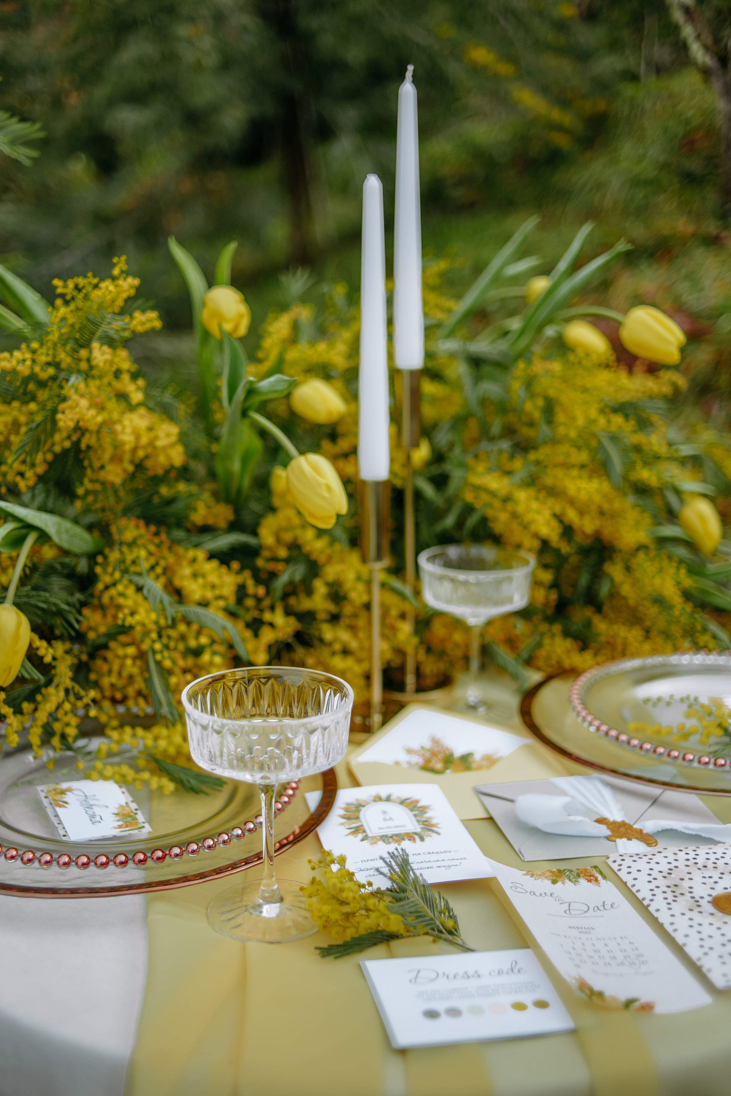 Максим и Елизавета. Семейный фотограф в Тамбове Анна Кондрашова