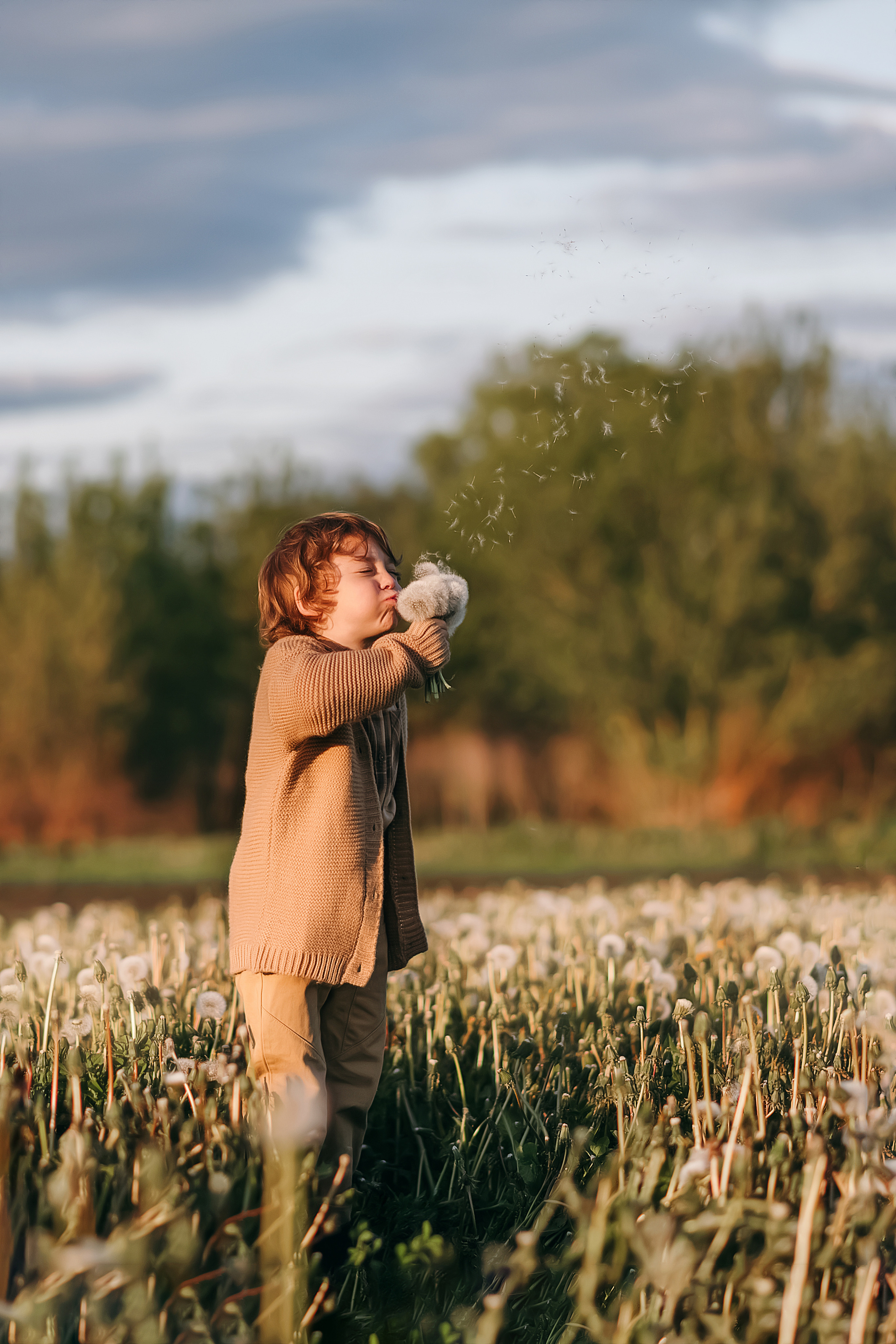 Серёжа. Семейный фотограф в Тамбове Анна Кондрашова