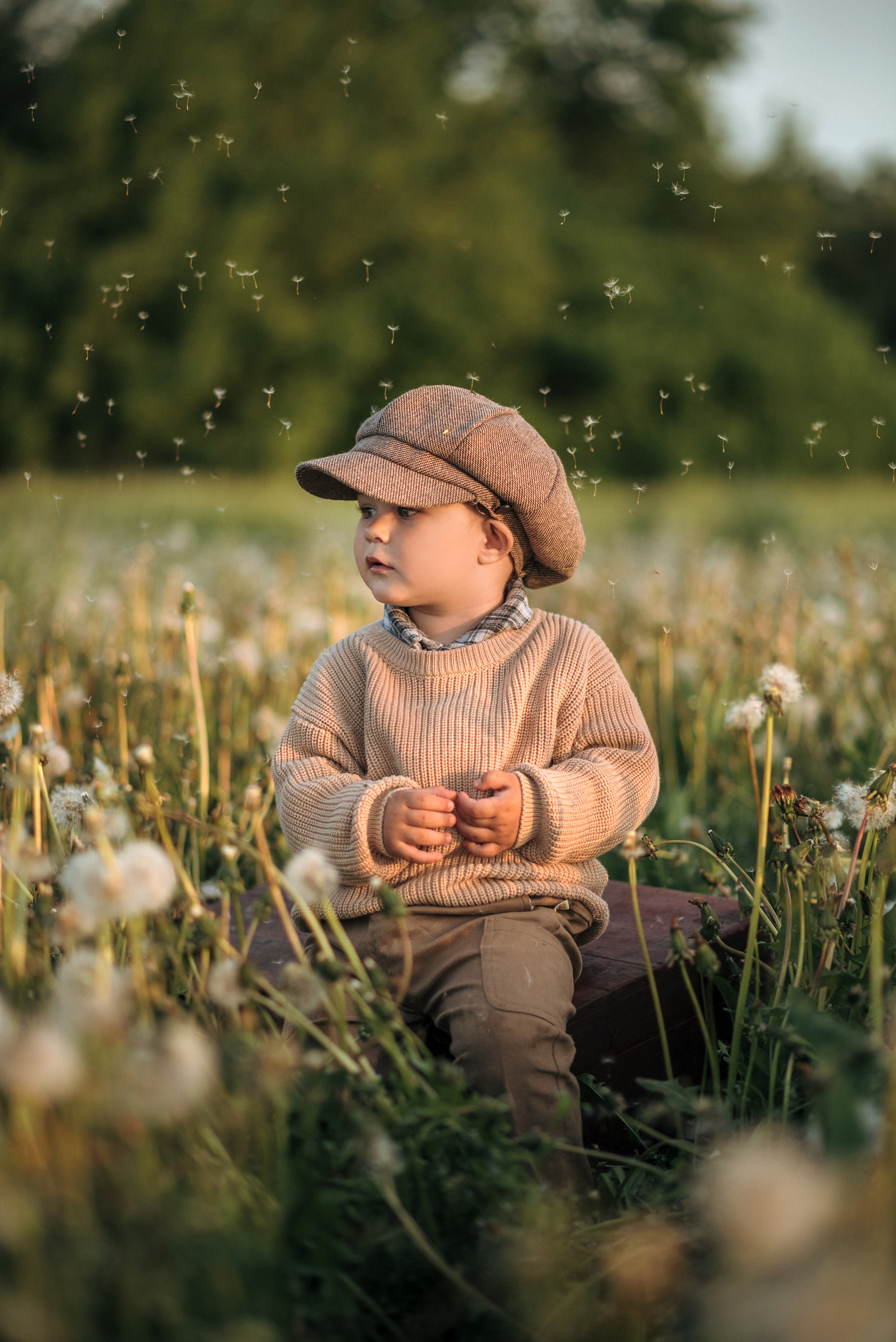 Артём. Семейный фотограф в Тамбове Анна Кондрашова