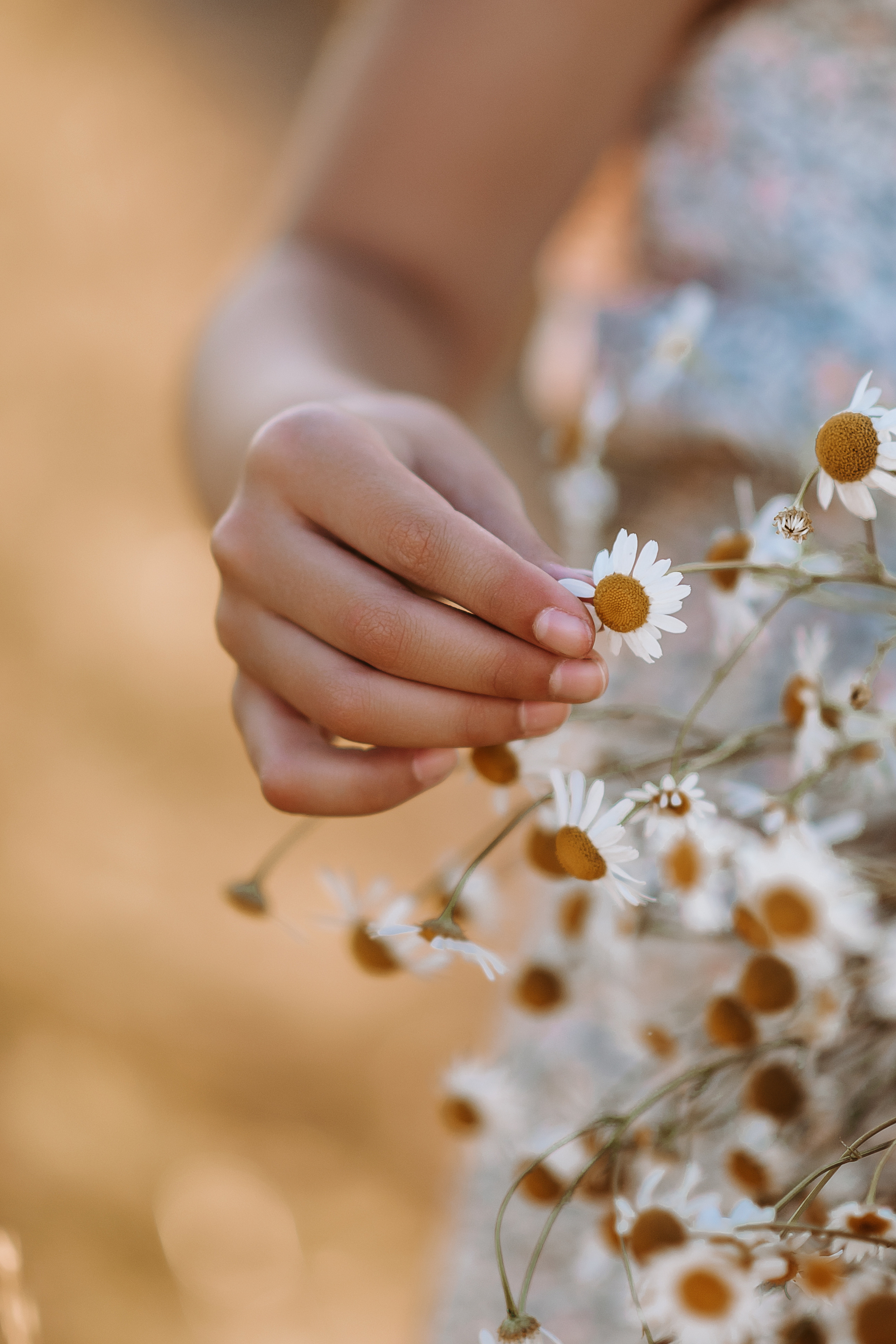 Лена и Аня. Семейный фотограф в Тамбове Анна Кондрашова