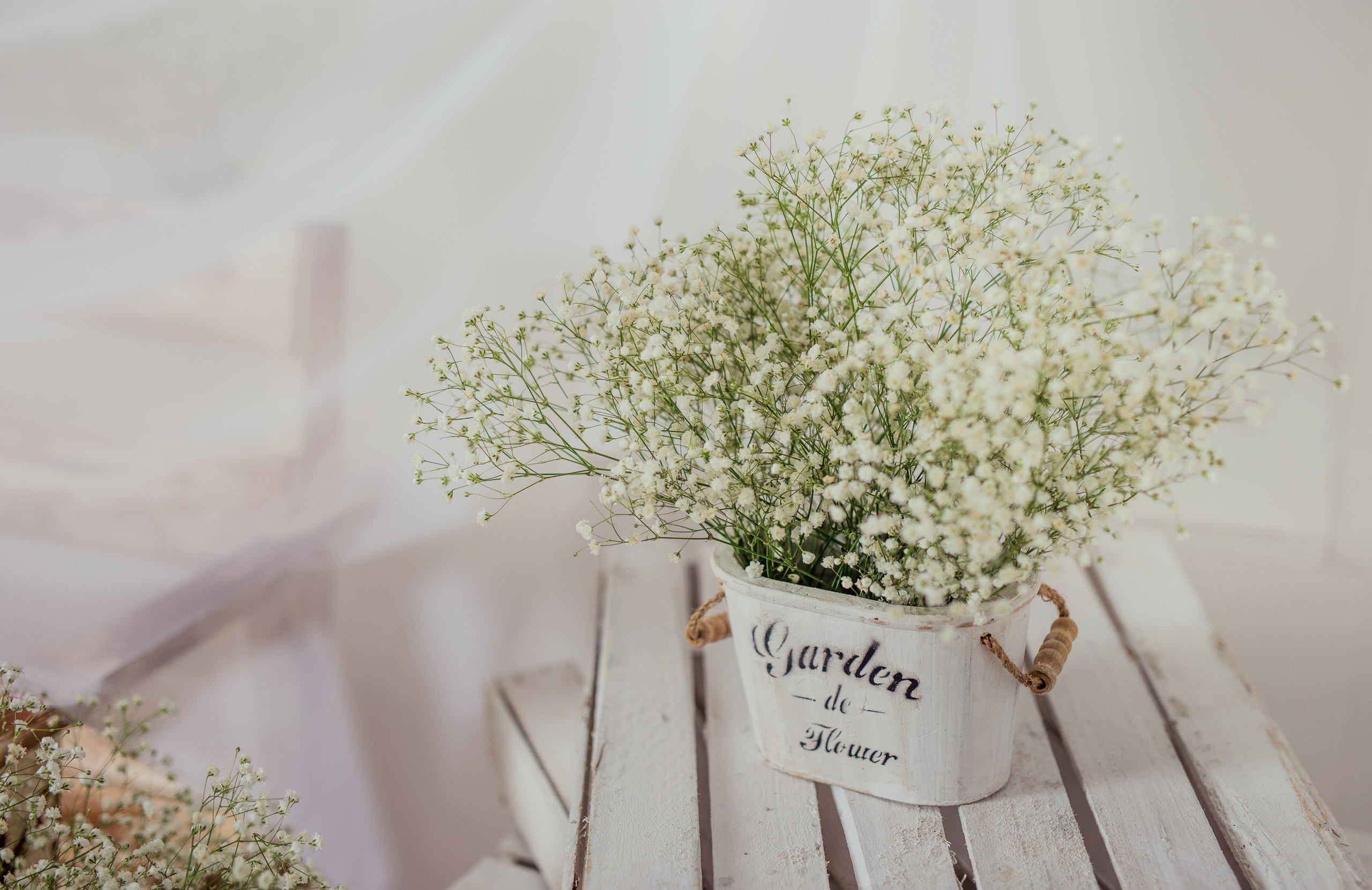 Предметная съёмка. Фотограф Екатерина Головатюк, Железногорск Красноярского края