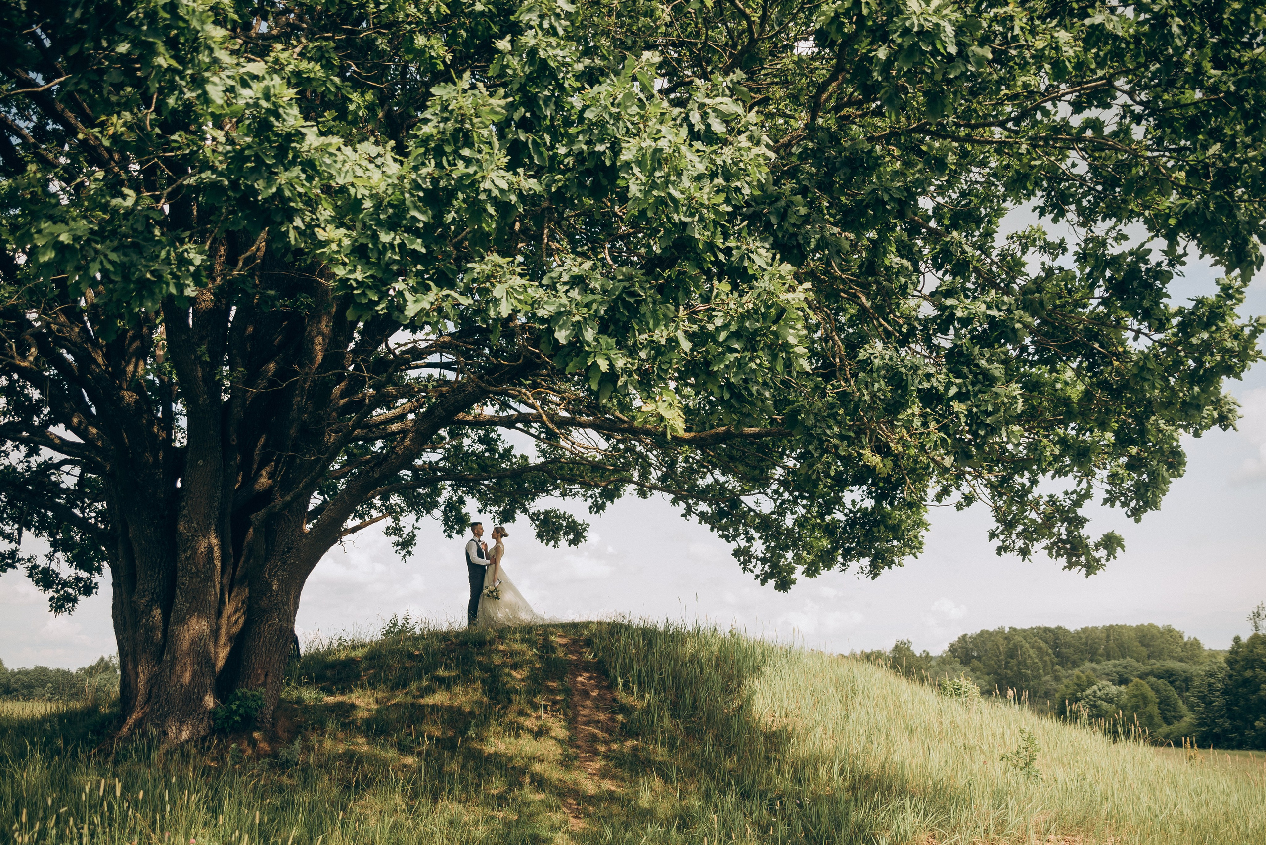 Андрей и Настя 01.07.2023. Свадебный и семейный фотограф в городе Смоленске