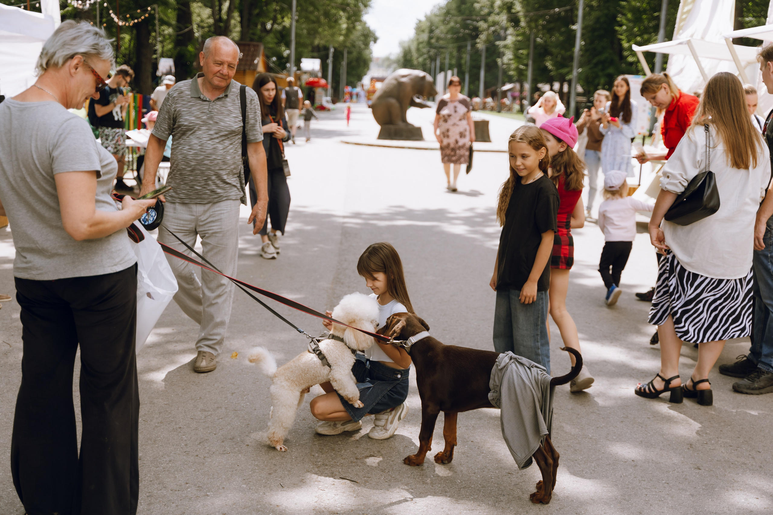 Площадка фестиваля «Мампус и его друзья» в Лесопарке 2025. Фотограф Надежда Погребняк | Рязань | Москва