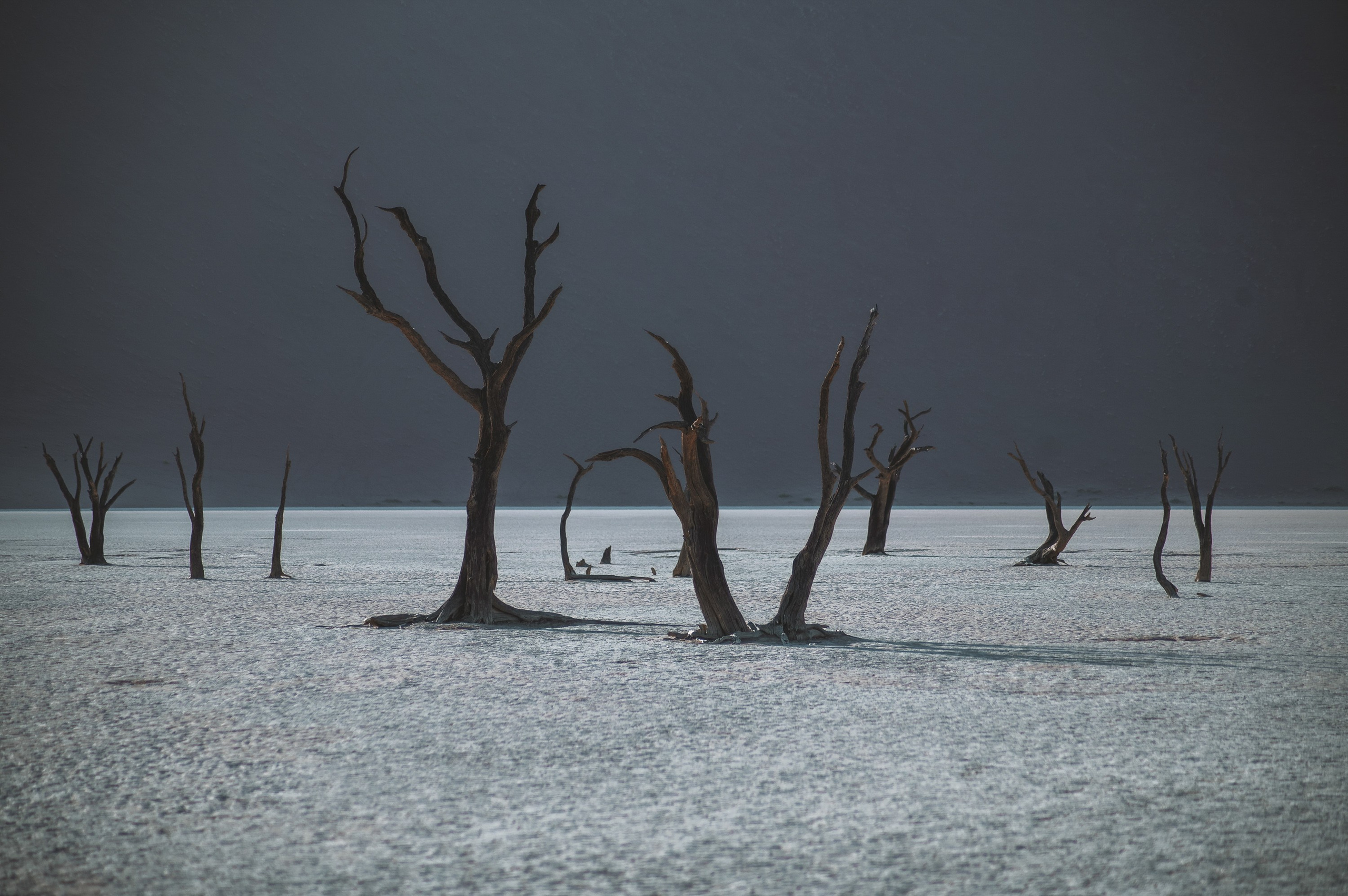 НАМИБИЯ. Роадтрип