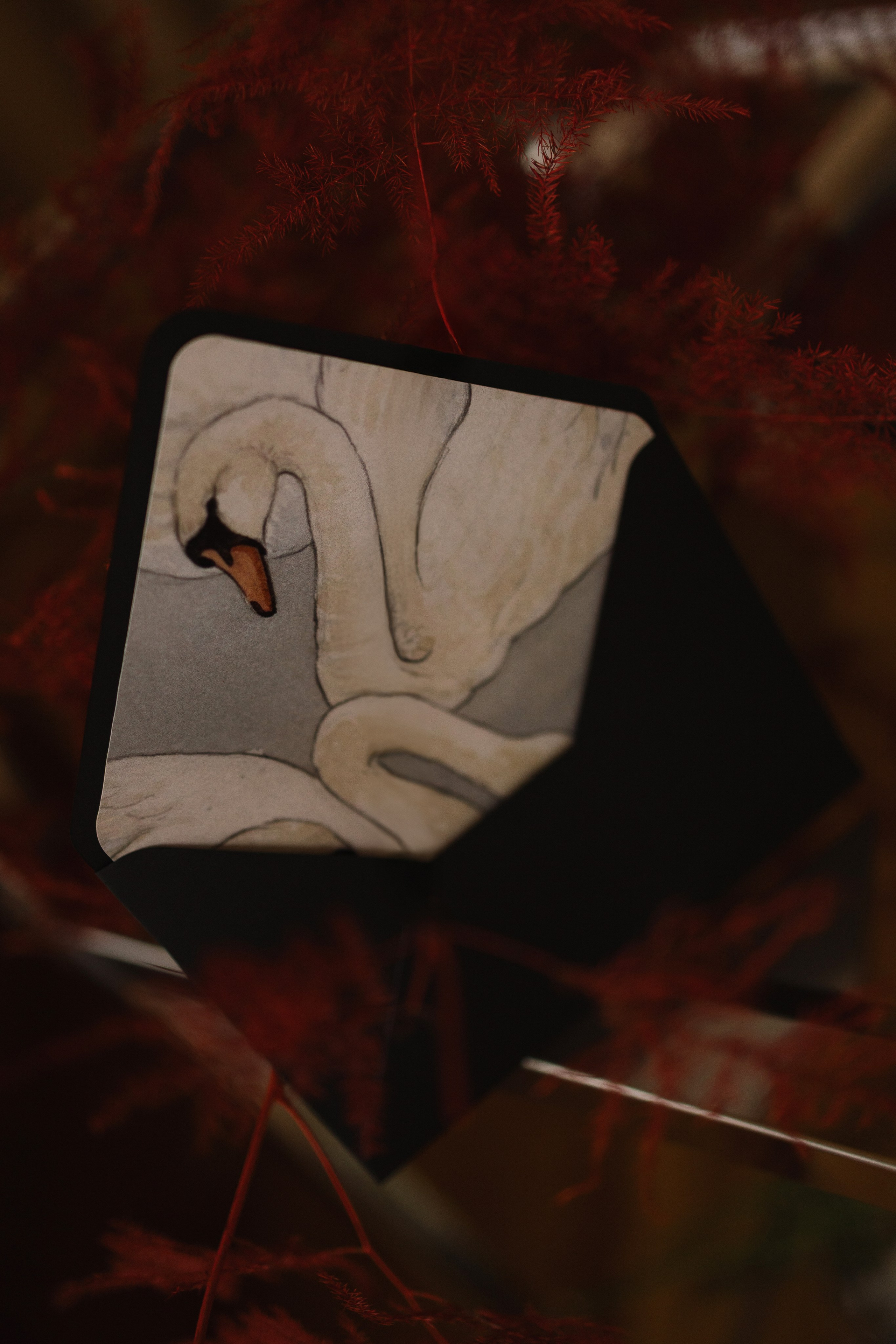 D&V. Свадебный фотограф Лиза Макатович Беларусь Минск