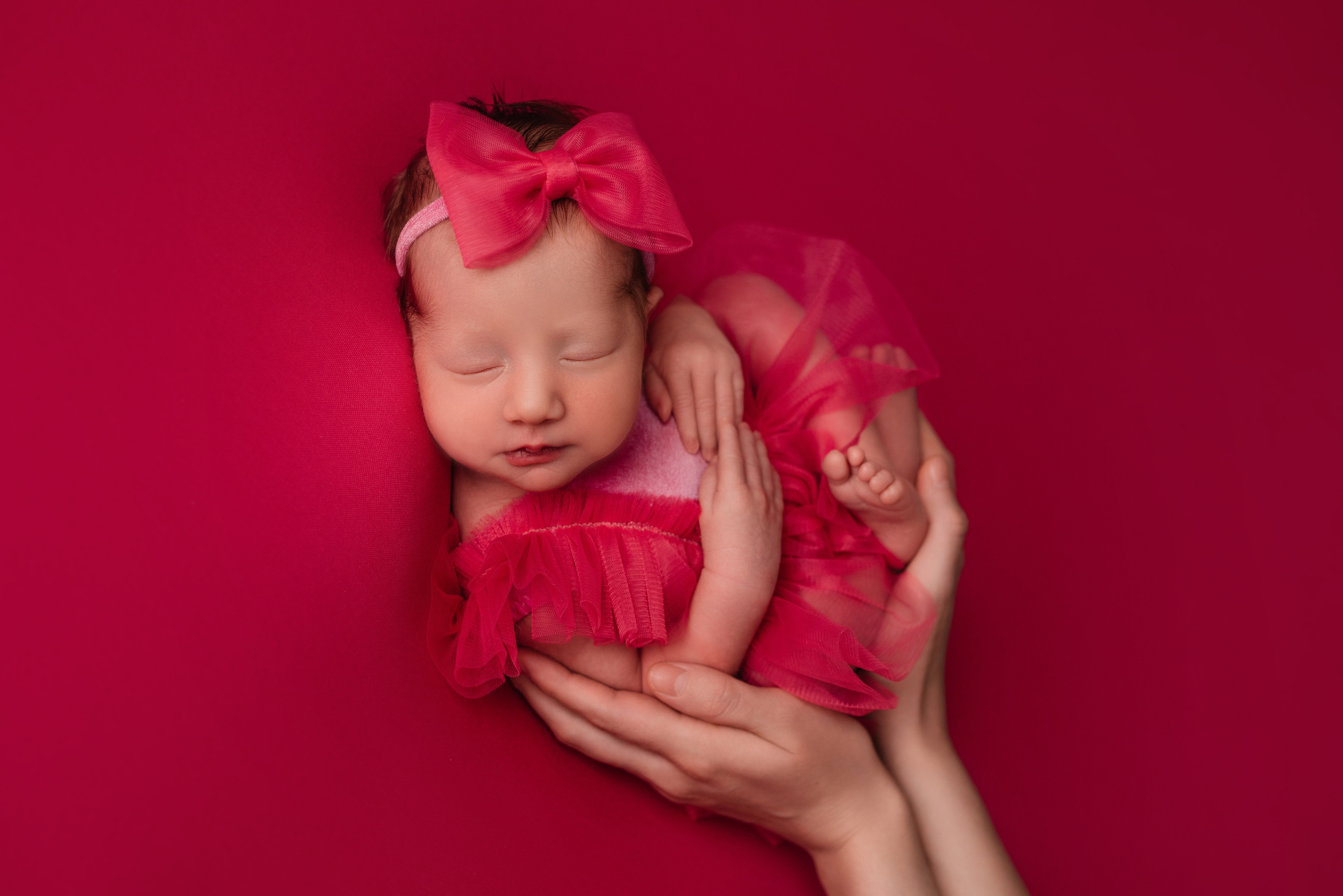 Эмилия. Фотограф новорожденных Белгород