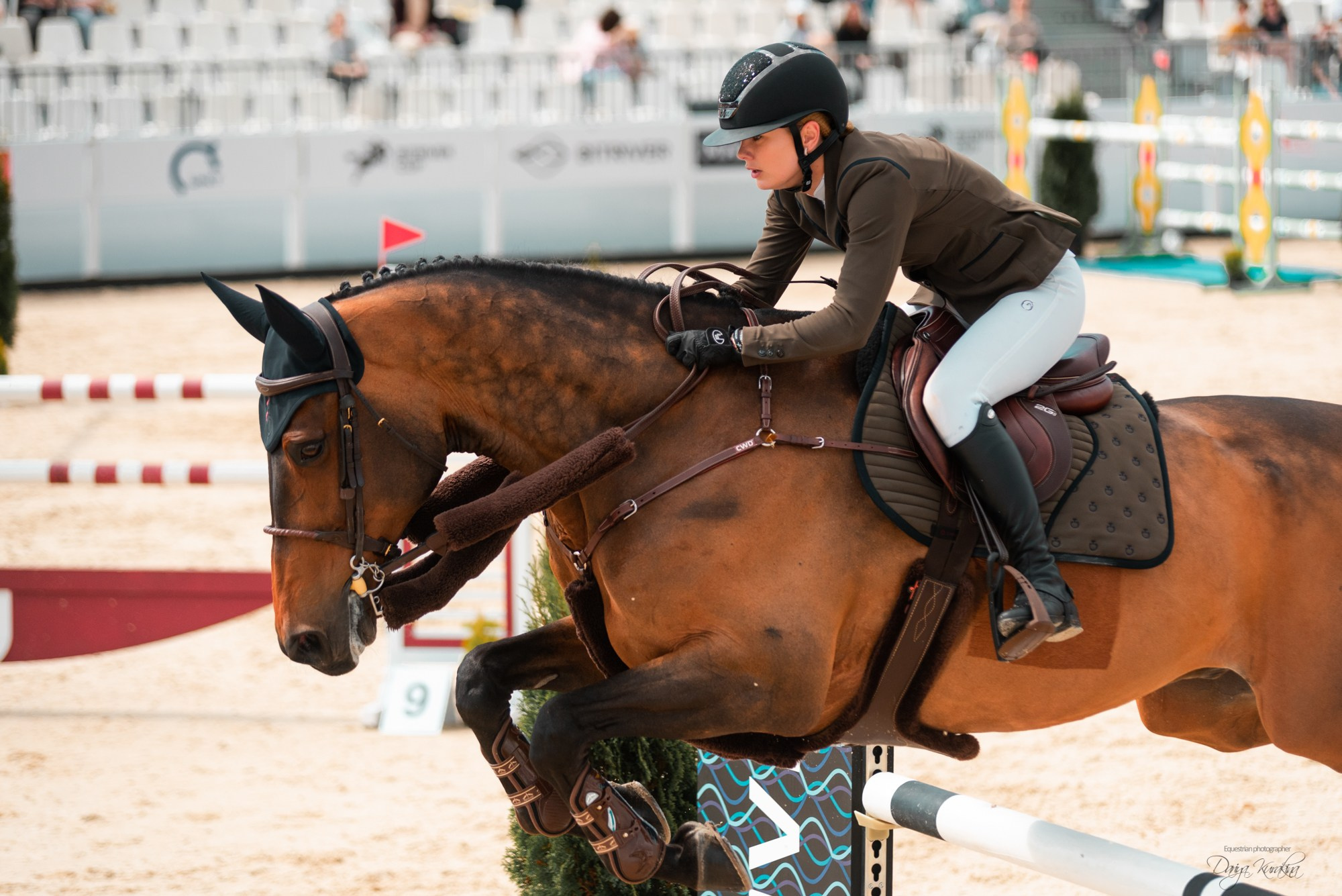 BITRIVER CUP 2023. Конный фотограф Куракина Дарья • Фотосессии с лошадьми