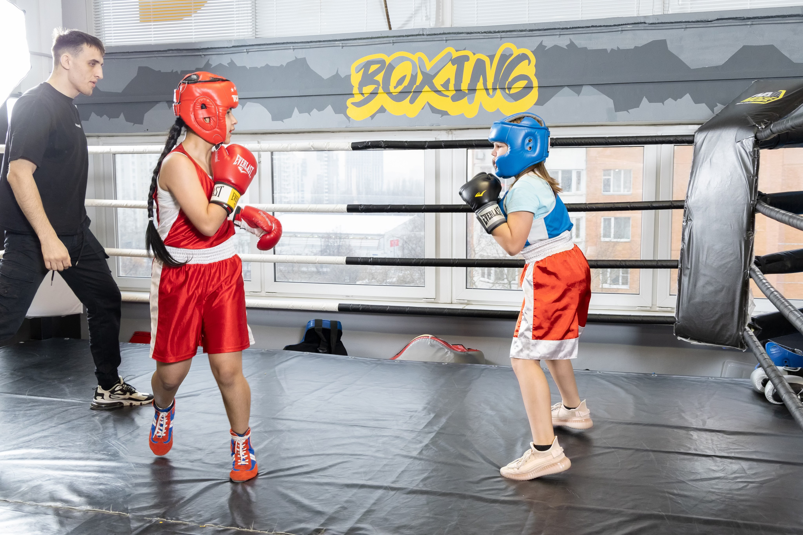 Бокс. Photomantis