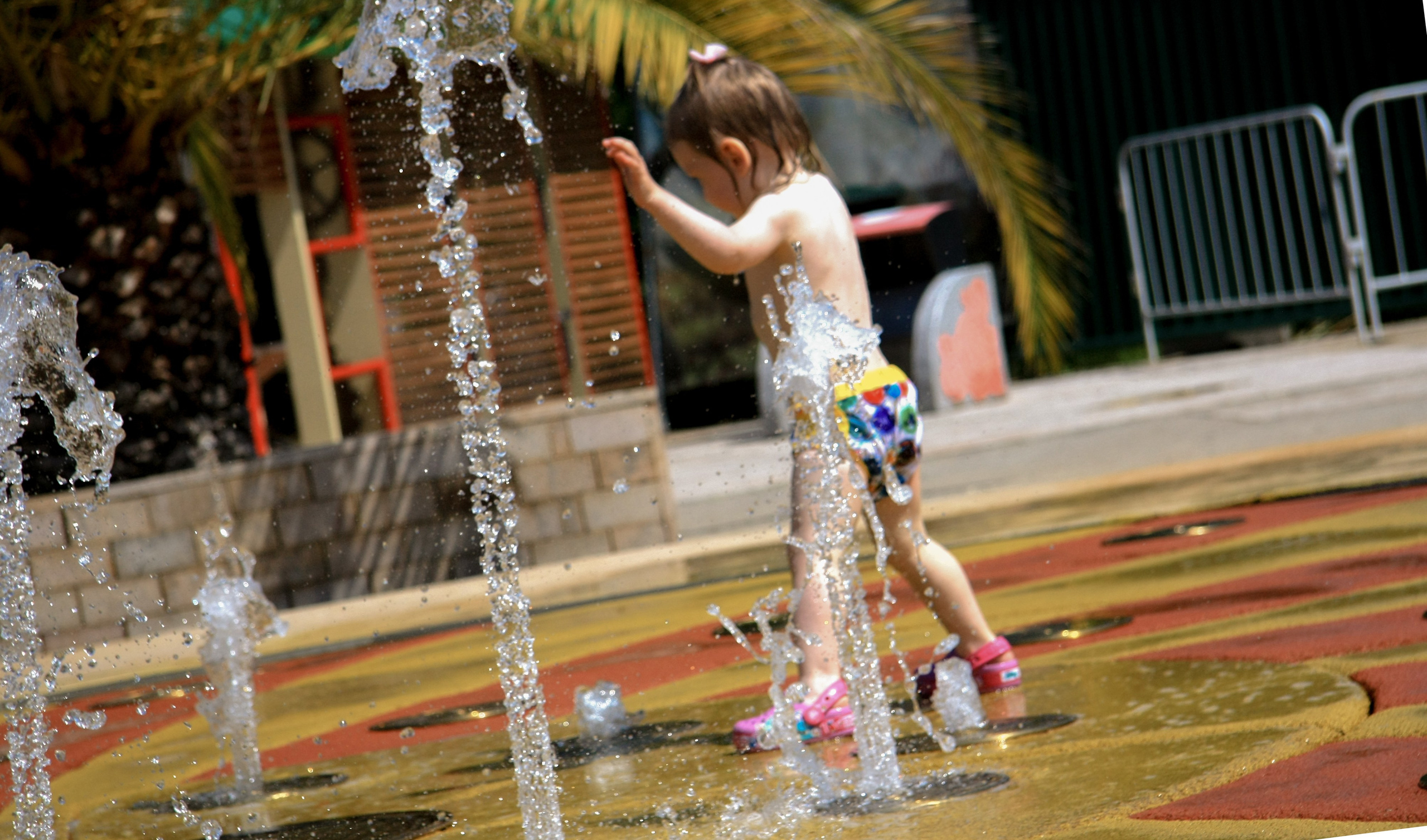Первые кадры. Сочи — парк. Фотограф Роман Адлер