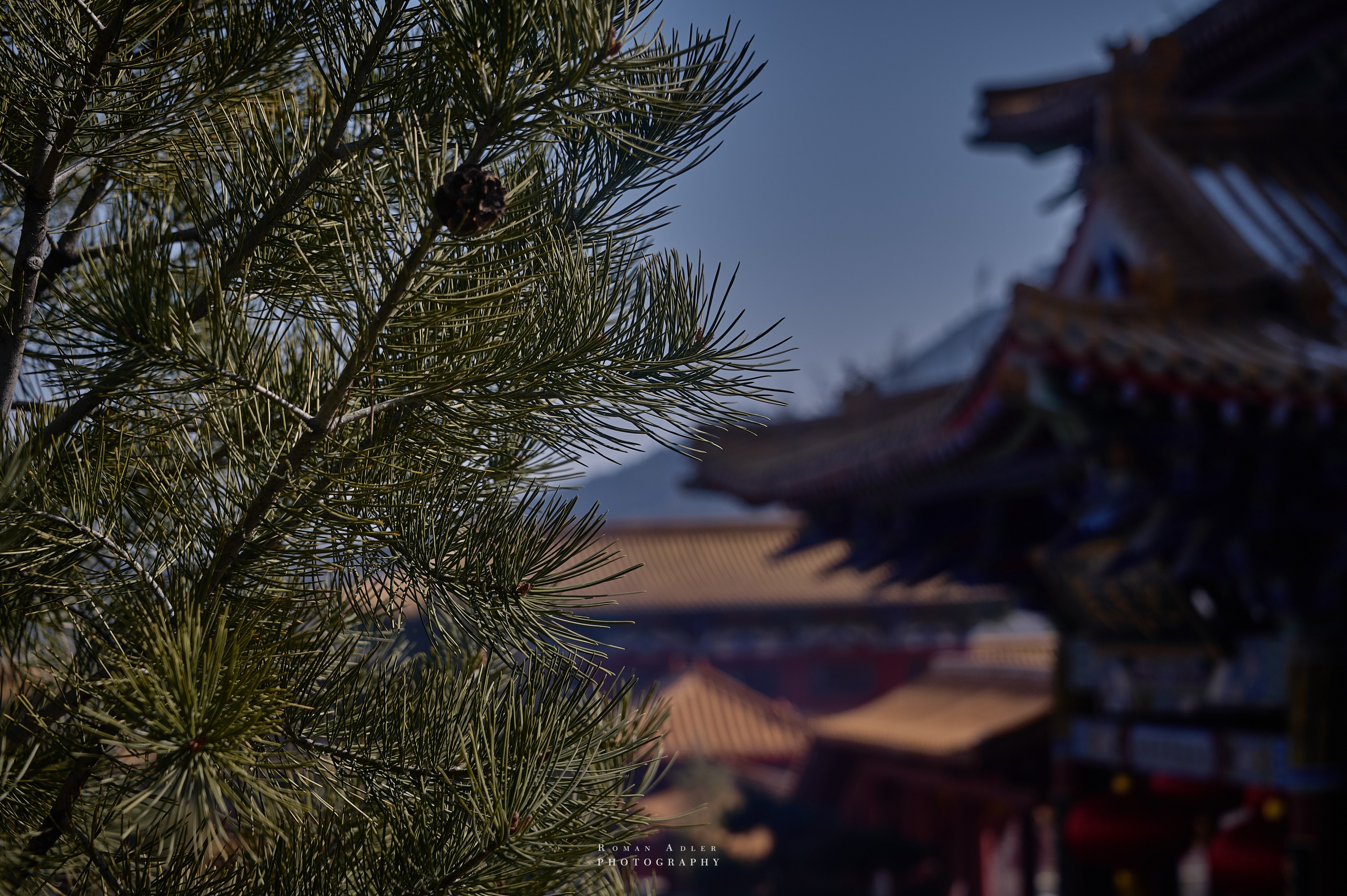 Храм Гуанфу (Процветания). Цинчжоу. Фотограф Роман Адлер