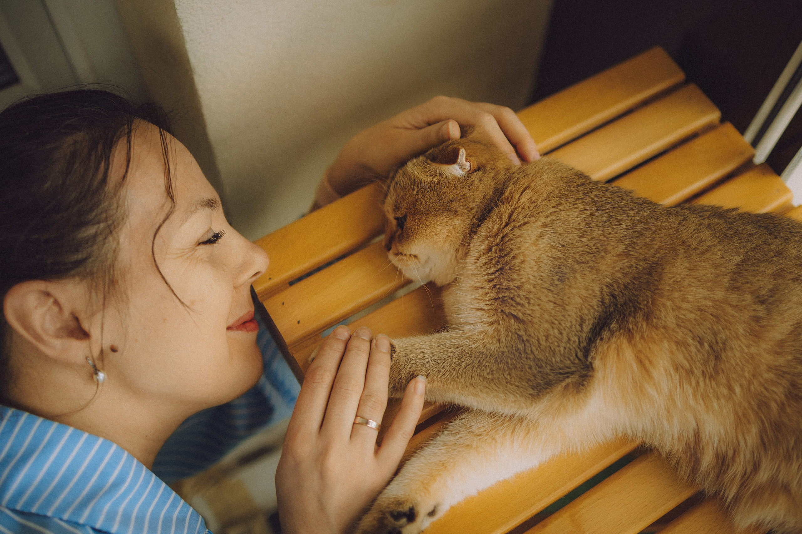 Генри и его семья