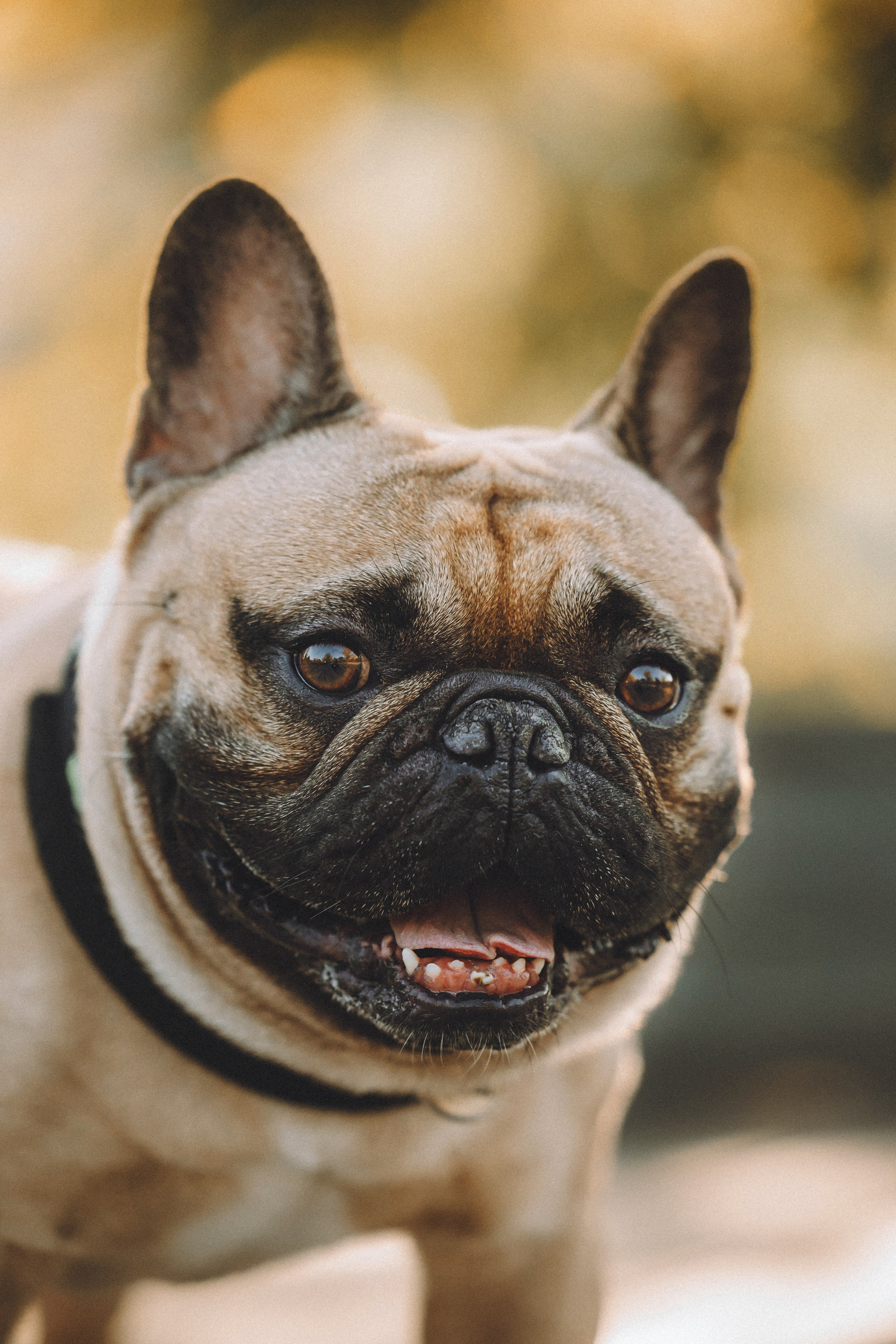 Настя, Женя и Хонор