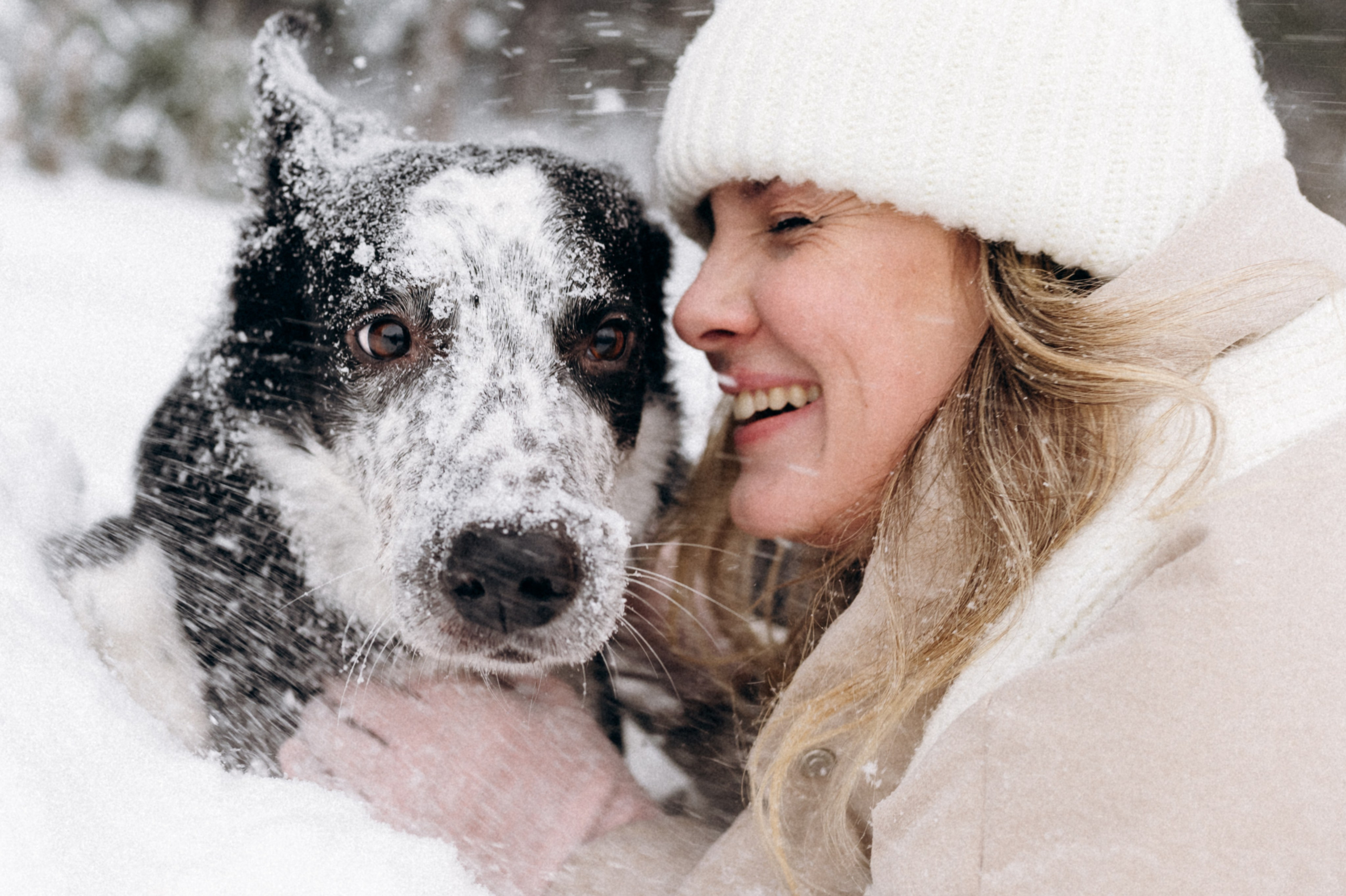 Аня и Милан. Фотограф анималист в Москве Ольга Агушева