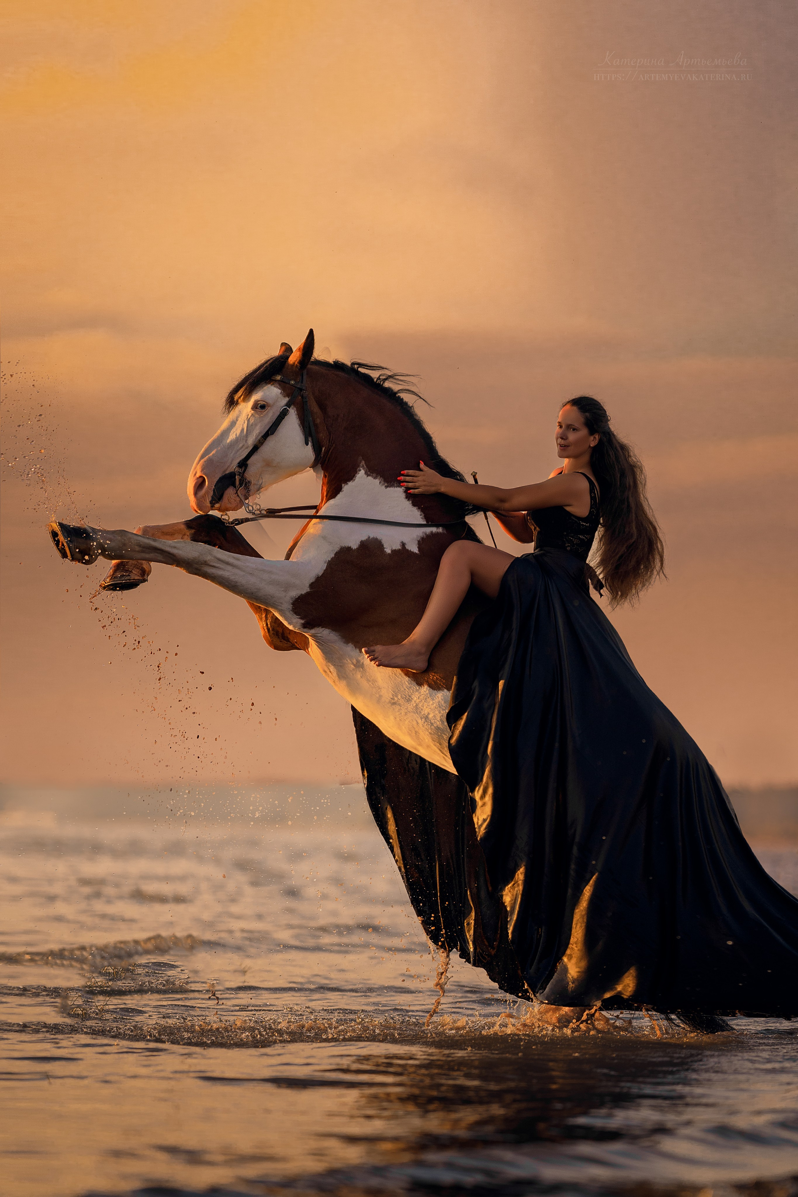 Фотосессии с лошадьми. Фотограф Артемьева Катерина|фотосессии с лошадьми