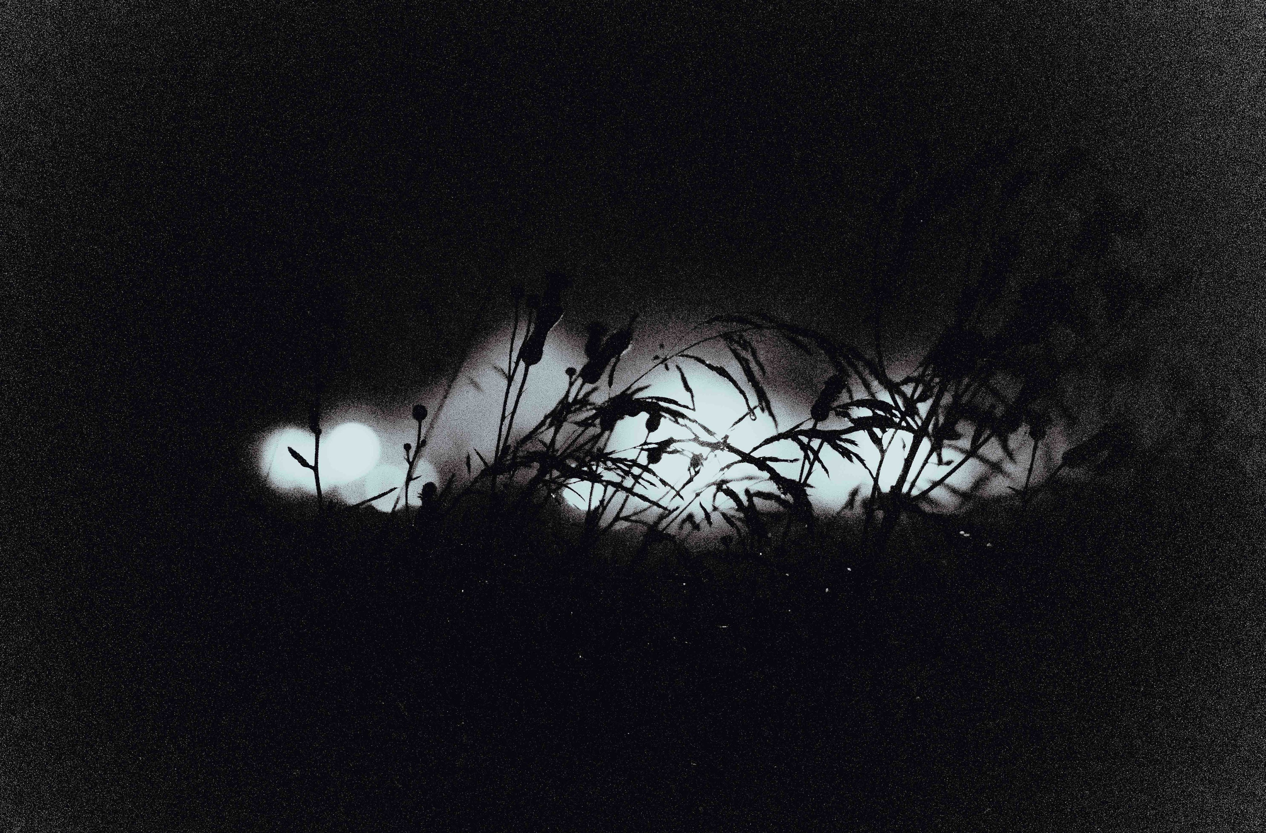 Отряд: эпоха Кометы. Фотограф Аннё| Москва