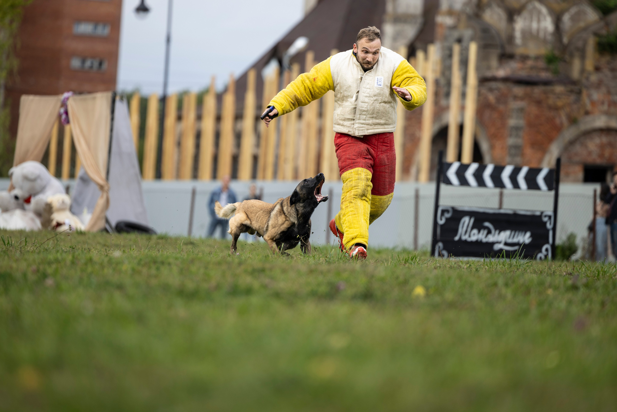 Испытания по Мондьорингу г. Пушкин. Фотограф-анималист Анна Маринич