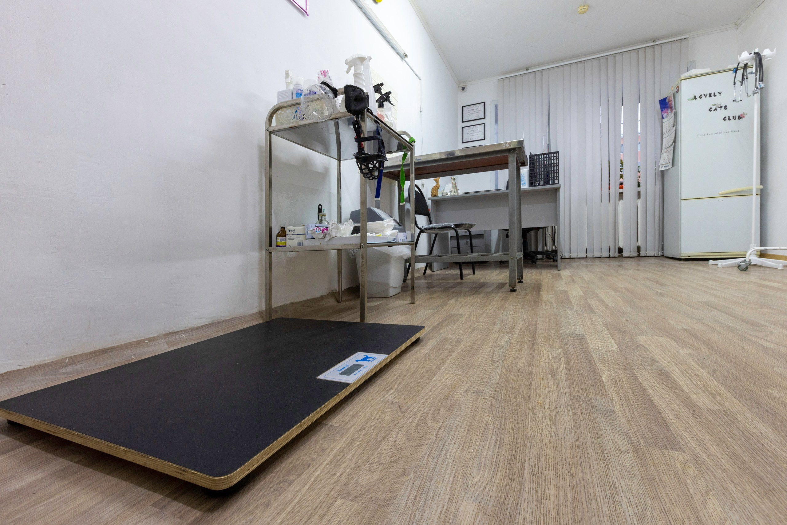 БАРОН. Ветеринарная клиника. Фотограф в Туле Крупский АнДРей. Фотостудия «КАДР71» в Туле