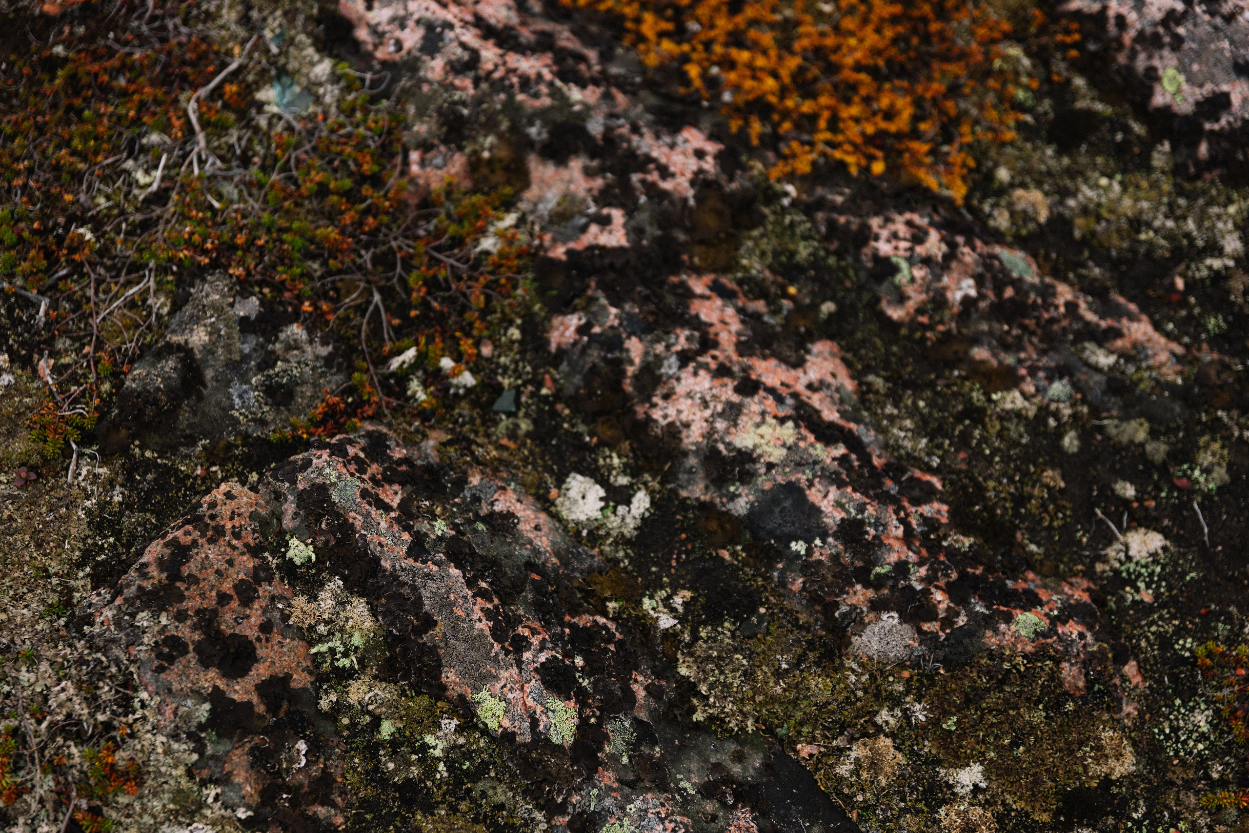 Backstage | Териберка. Репортажный фотограф в Мурманской области