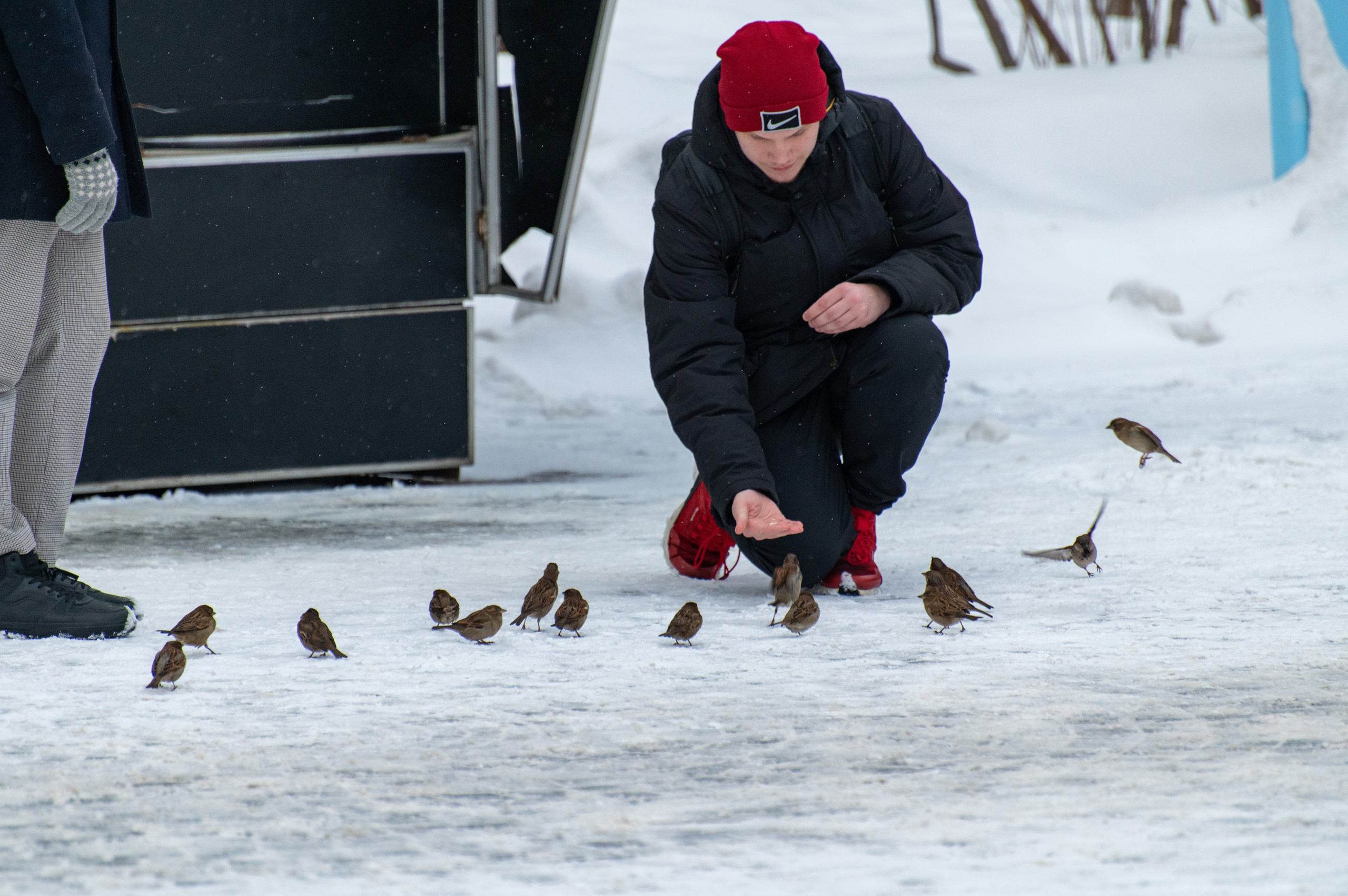 20230305 Воробьёвы и Лужники. Дмитрий Ремизов. Фотография, как хобби