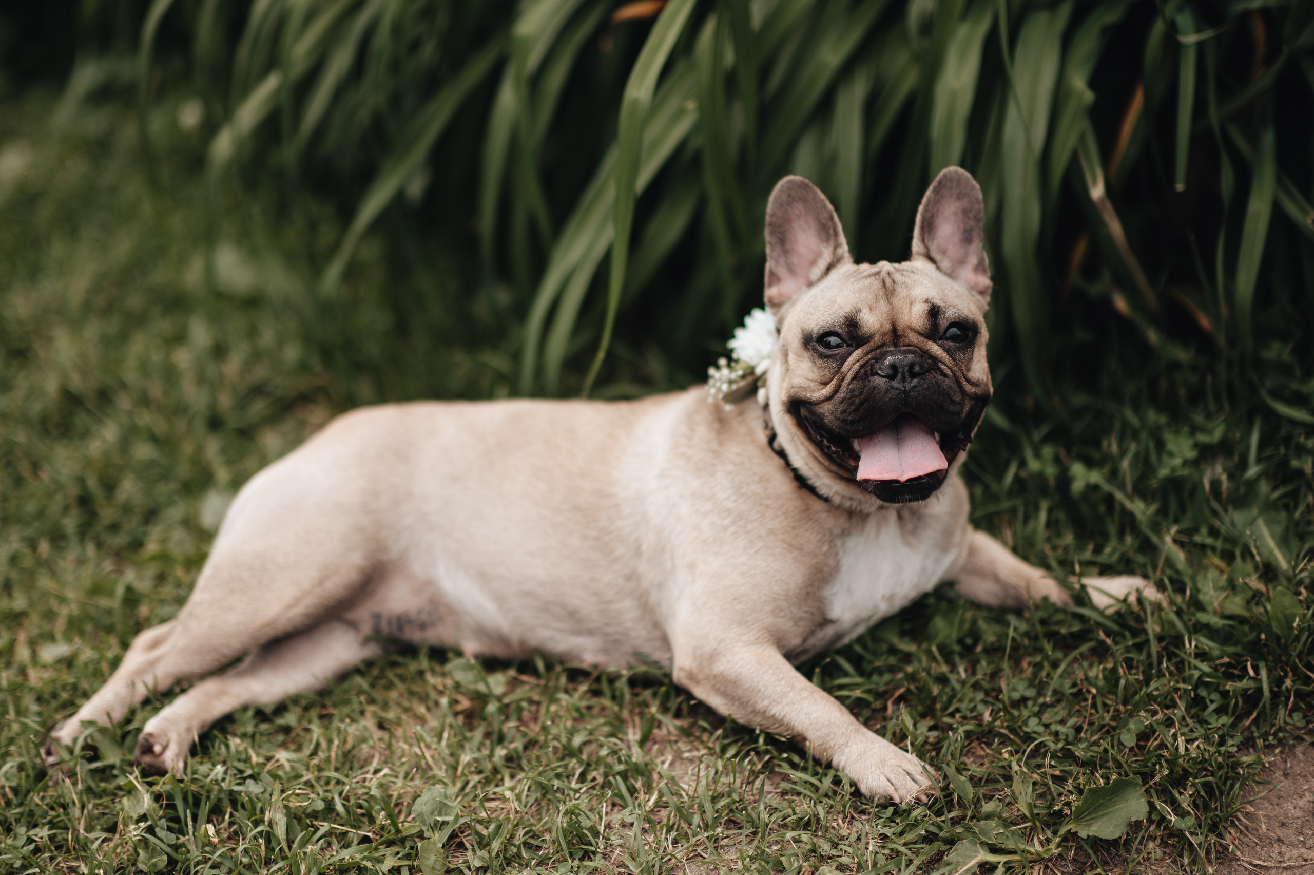 J & M. Свадебный и семейный фотограф в Москве и Европе Евгения Амелина