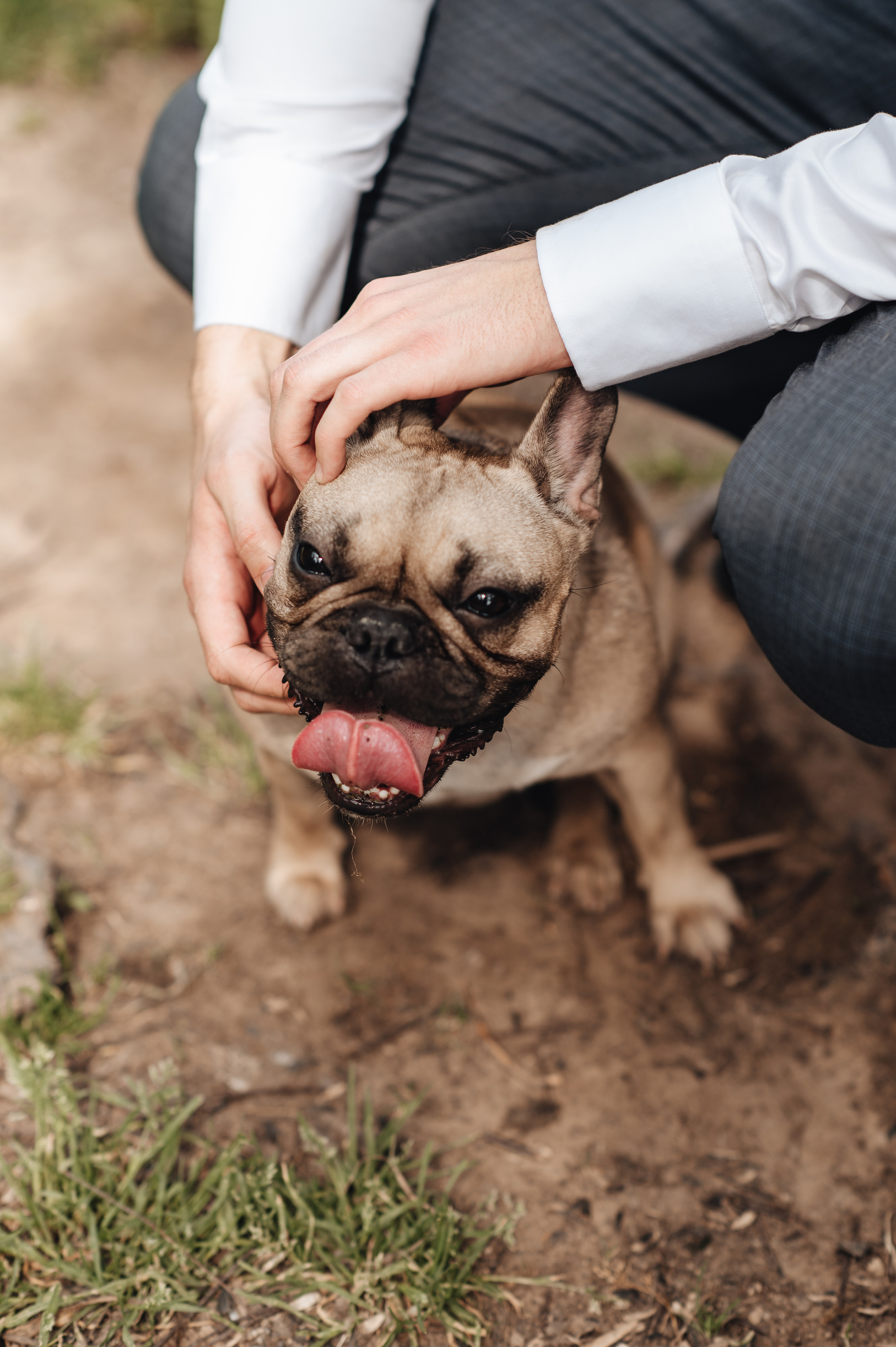 J & M. Свадебный и семейный фотограф в Москве и Европе Евгения Амелина