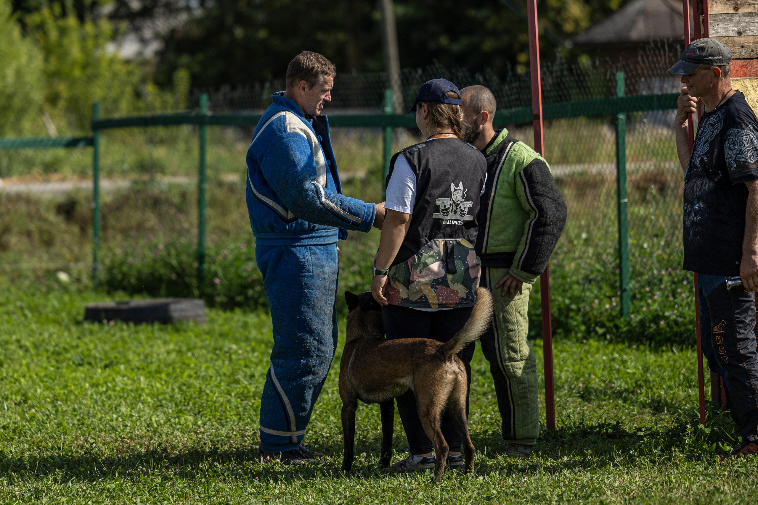 Соревнования по Мондьорингу г. Вологда 10-11.08.2024. Фотограф-анималист Анна Маринич