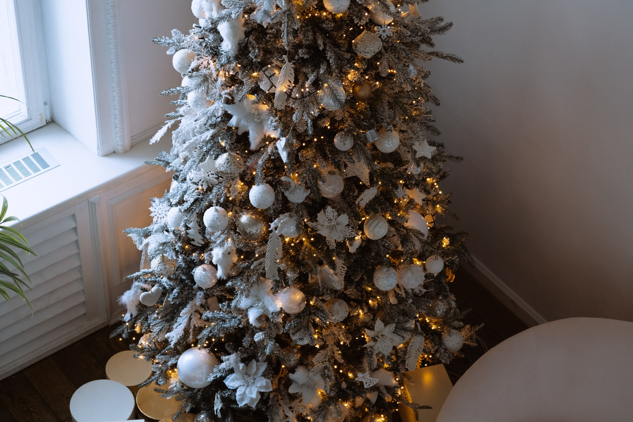 Новогодний стиль. Профессиональный фотограф, Санкт-Петербург — Виктория Богомолова