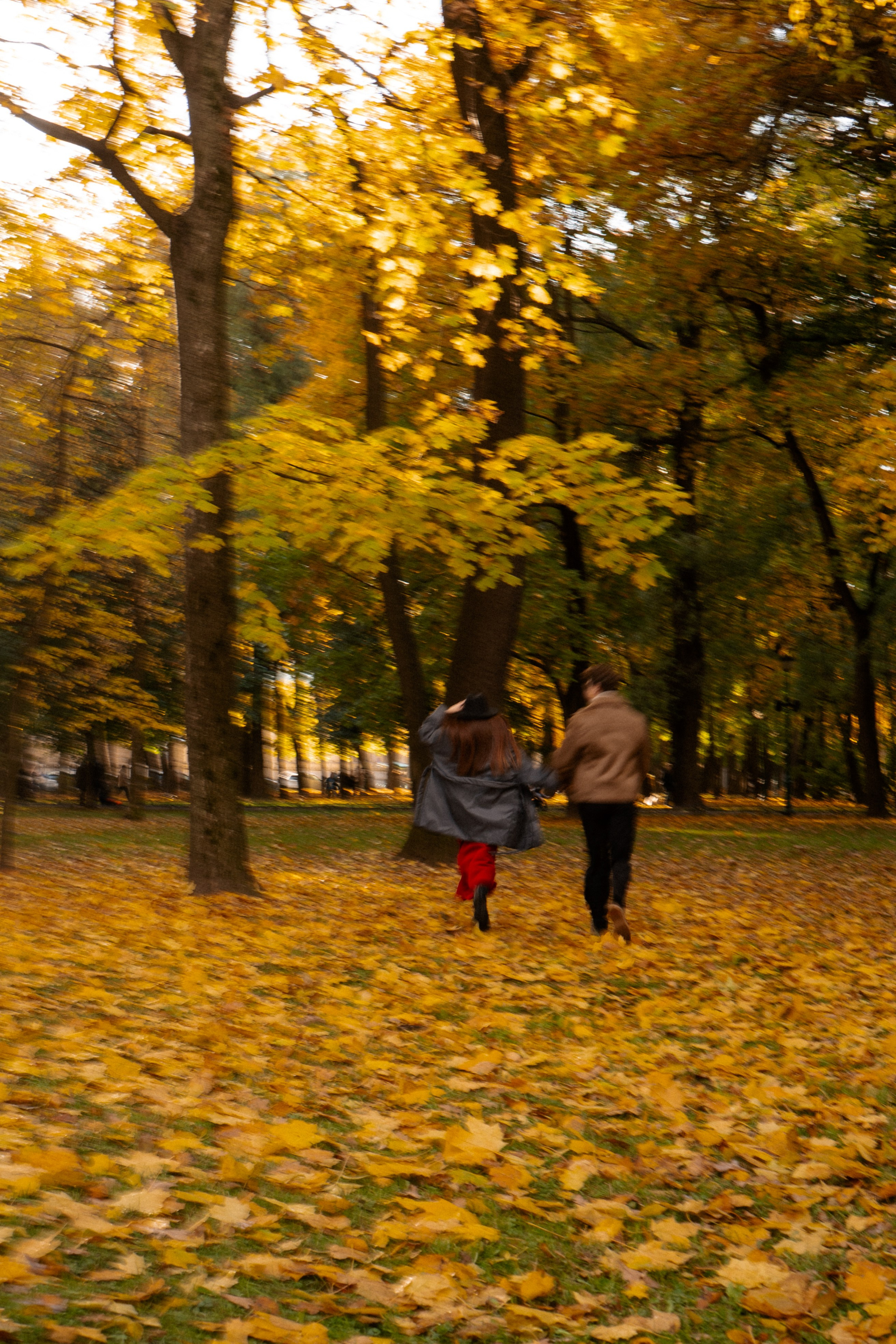 ОСЕННЯЯ ПРОГУЛКА. Профессиональный фотограф, Санкт-Петербург — Виктория Богомолова