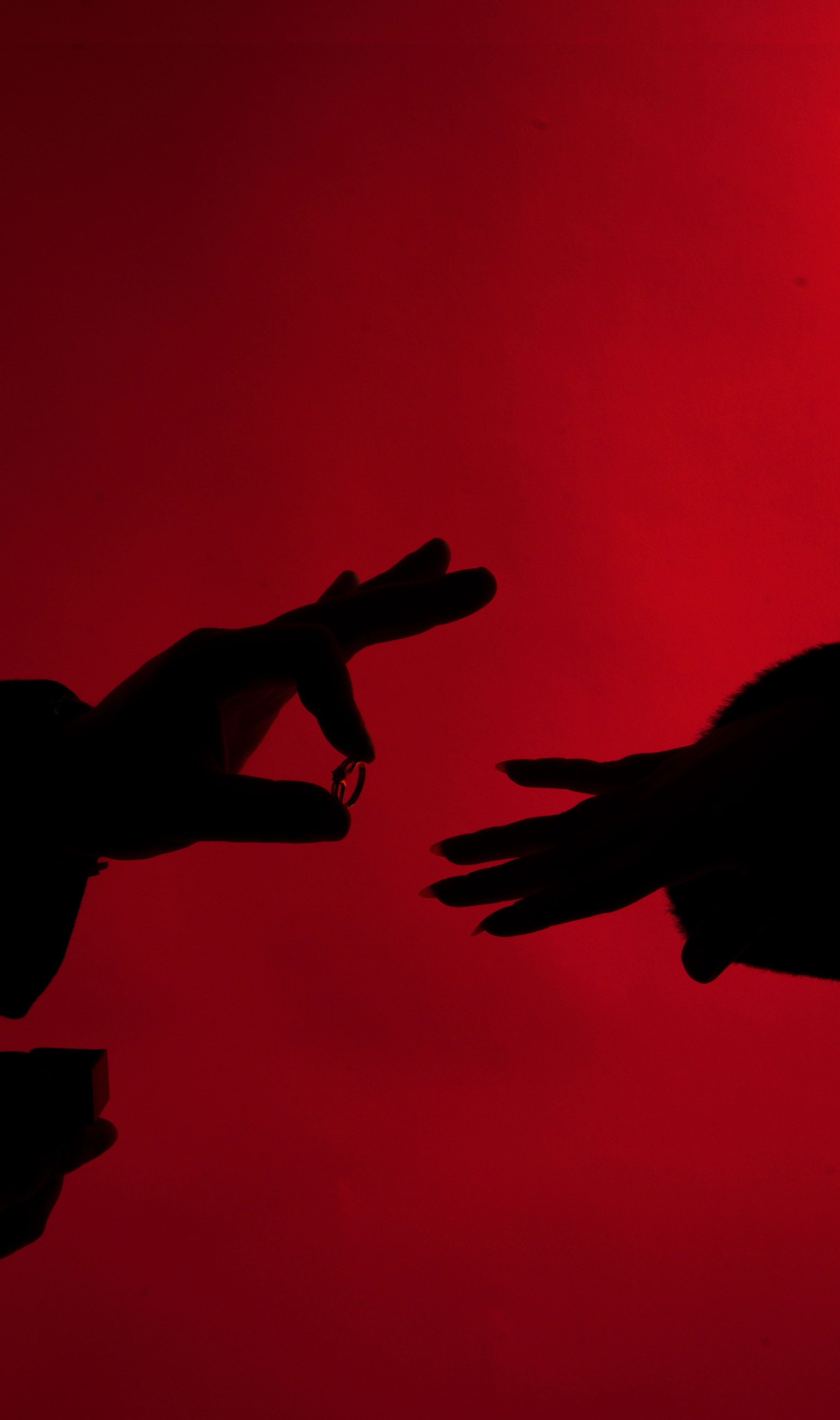 Студийная съемка. Фотограф Ольга Холина|Дебальцево