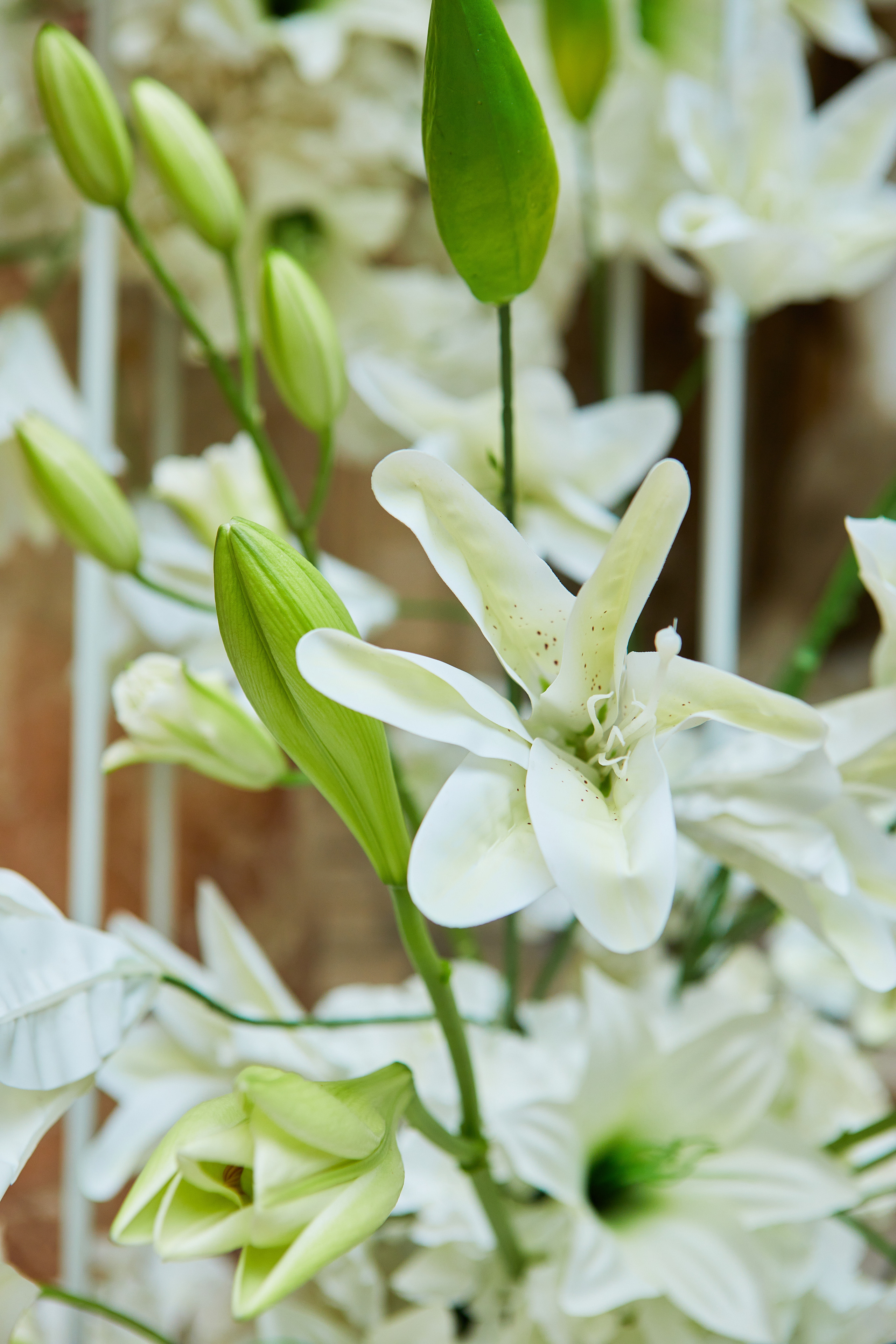 Сергей и Мария. Репортажный Фотограф Москва Дарья Лунева